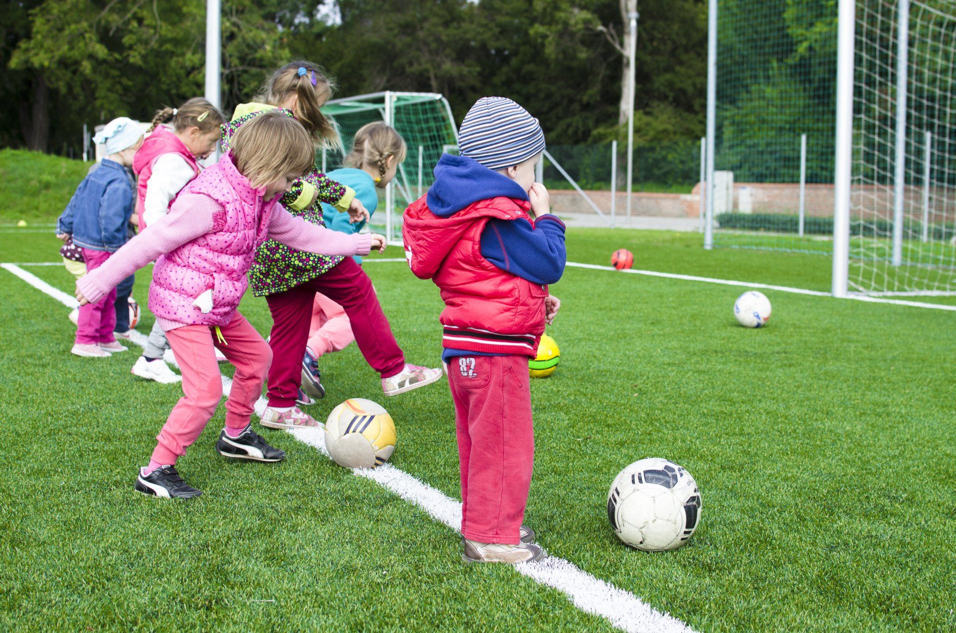 Organise a sports day to raise money for the Suffolk Punch Trust