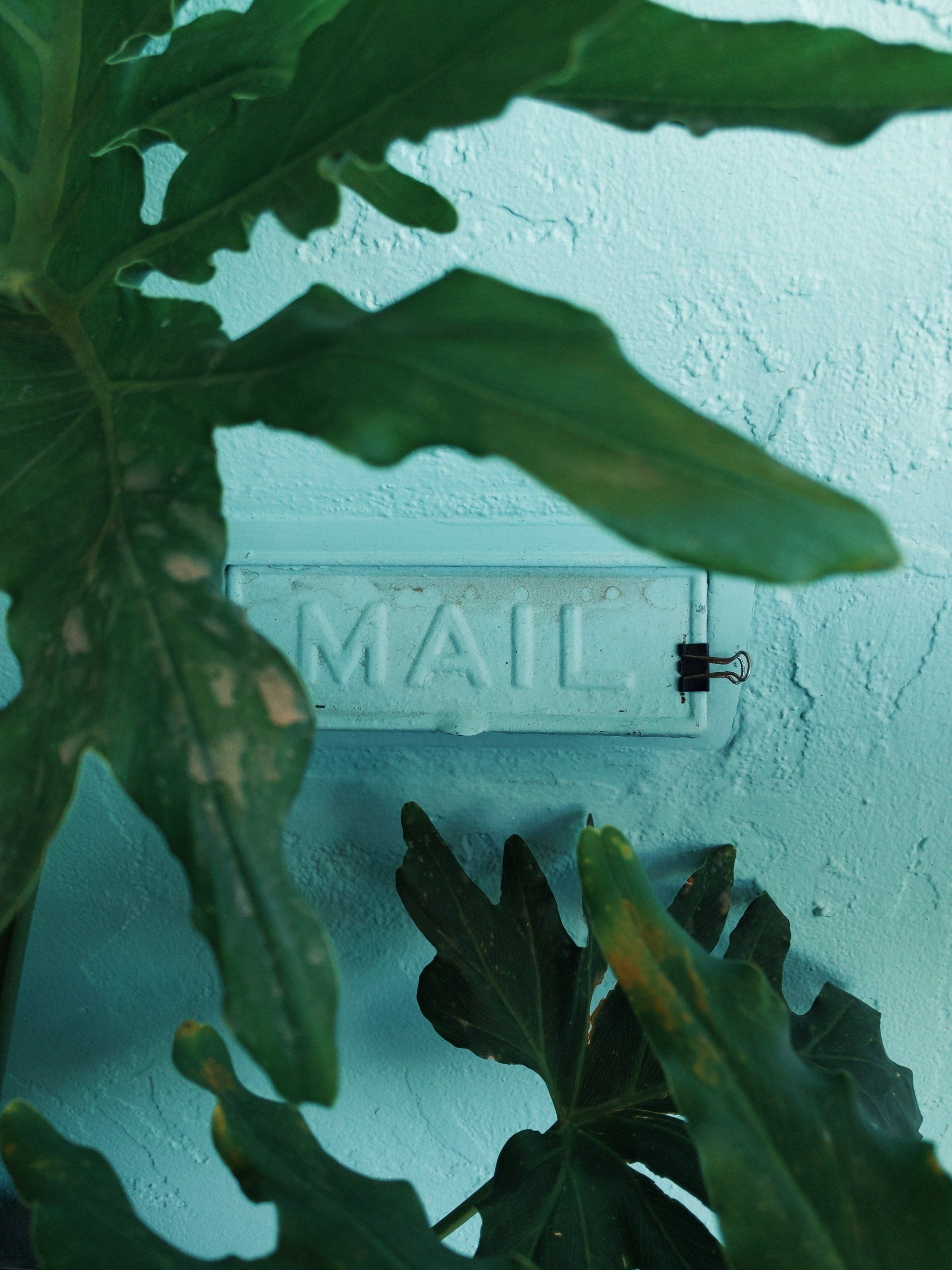 A mailbox with the word mail written on it