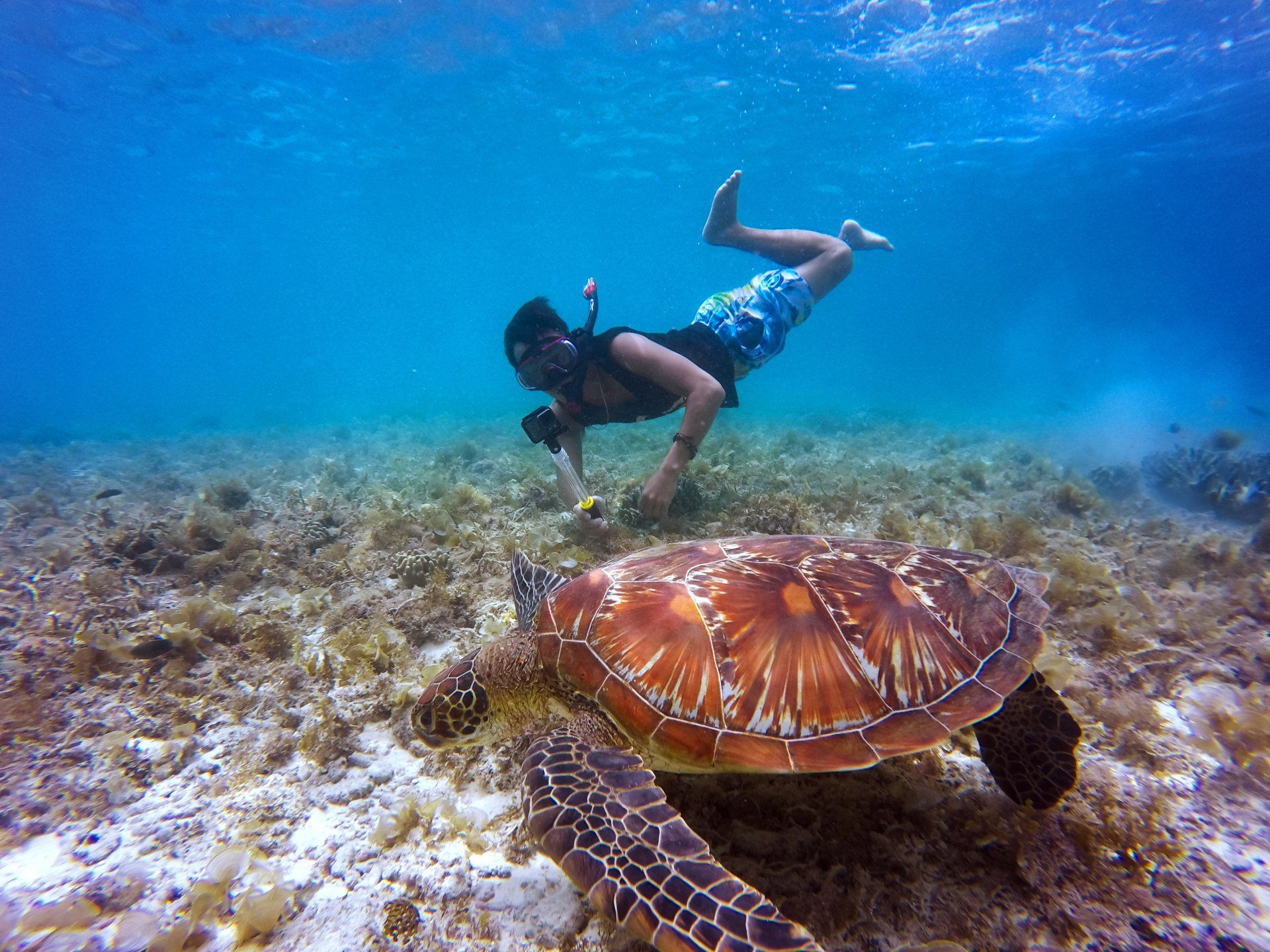 Snorkelling in Tofo Beach