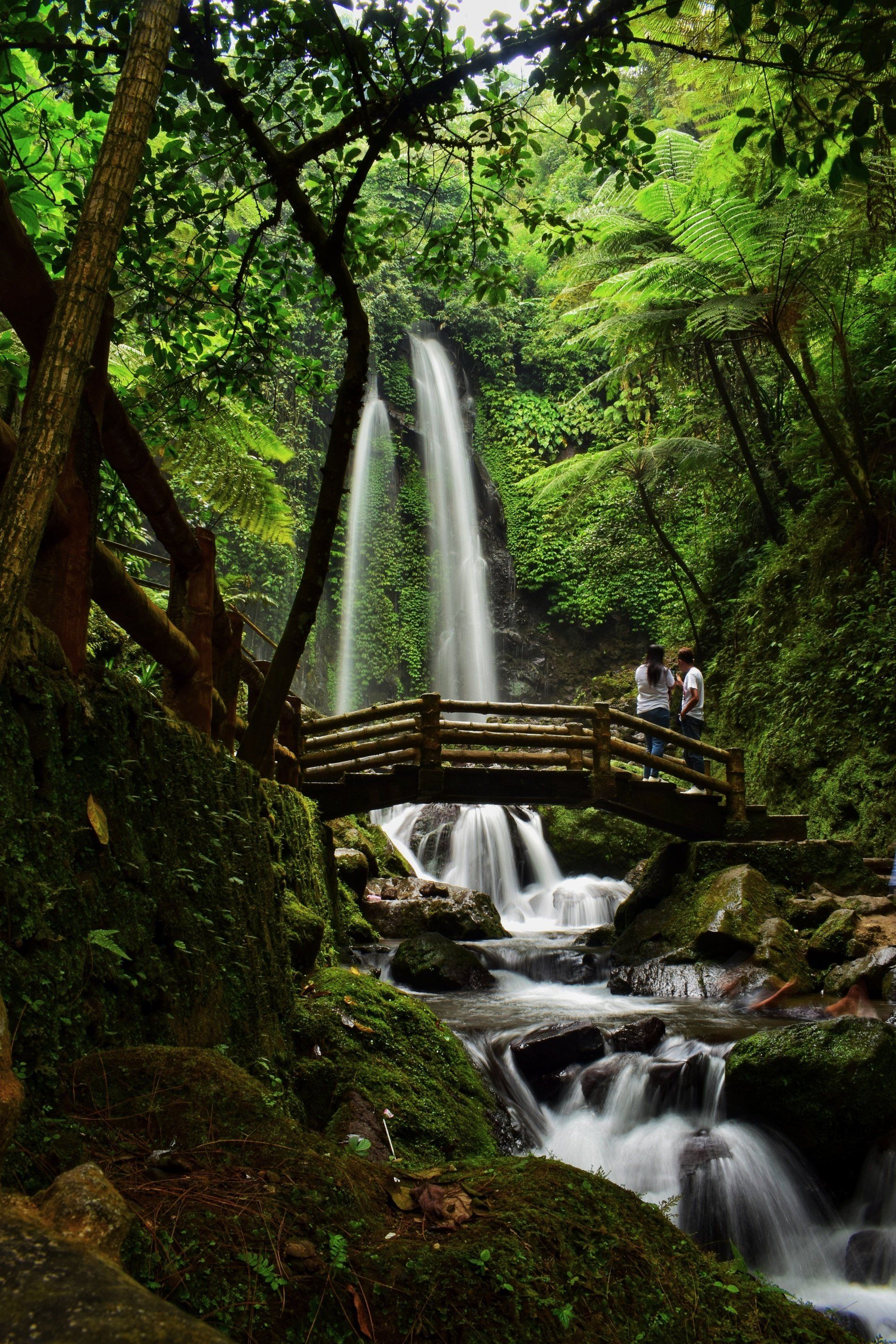 Uma cachoeira no meio de uma floresta com uma ponte sobre ela