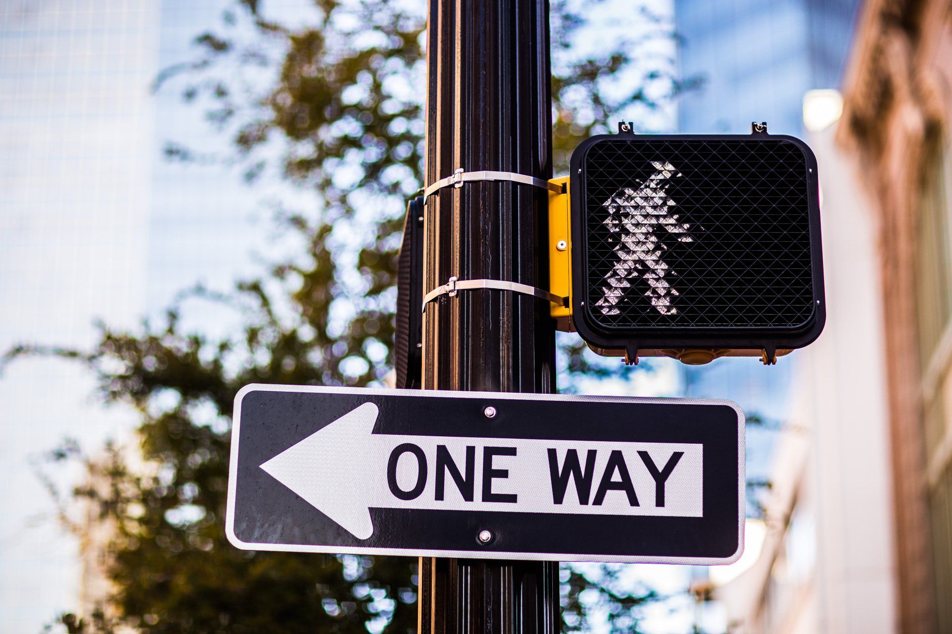 A one way sign is attached to a traffic light