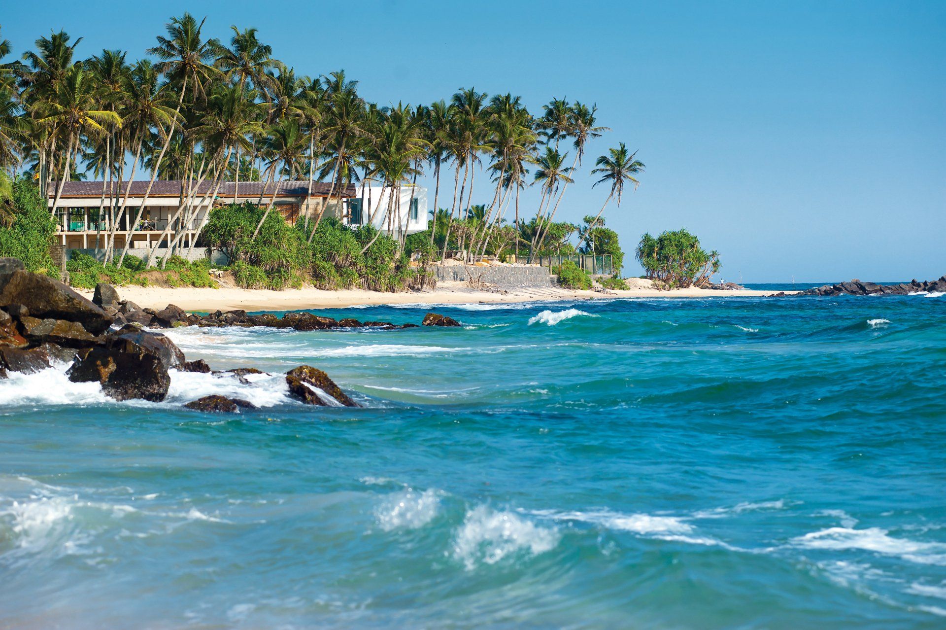 A beach with palm trees and a building in the background