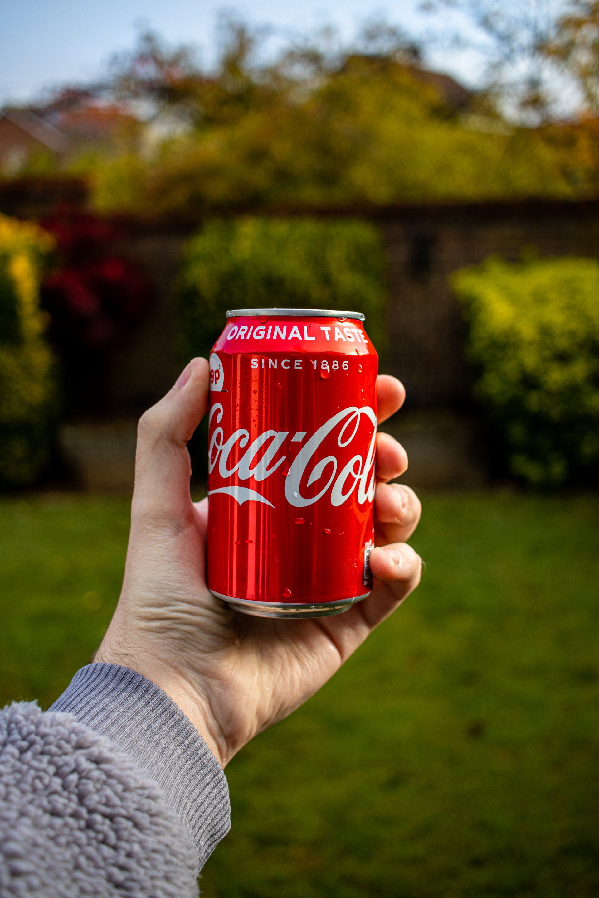 A person is holding a can of coca cola in their hand.