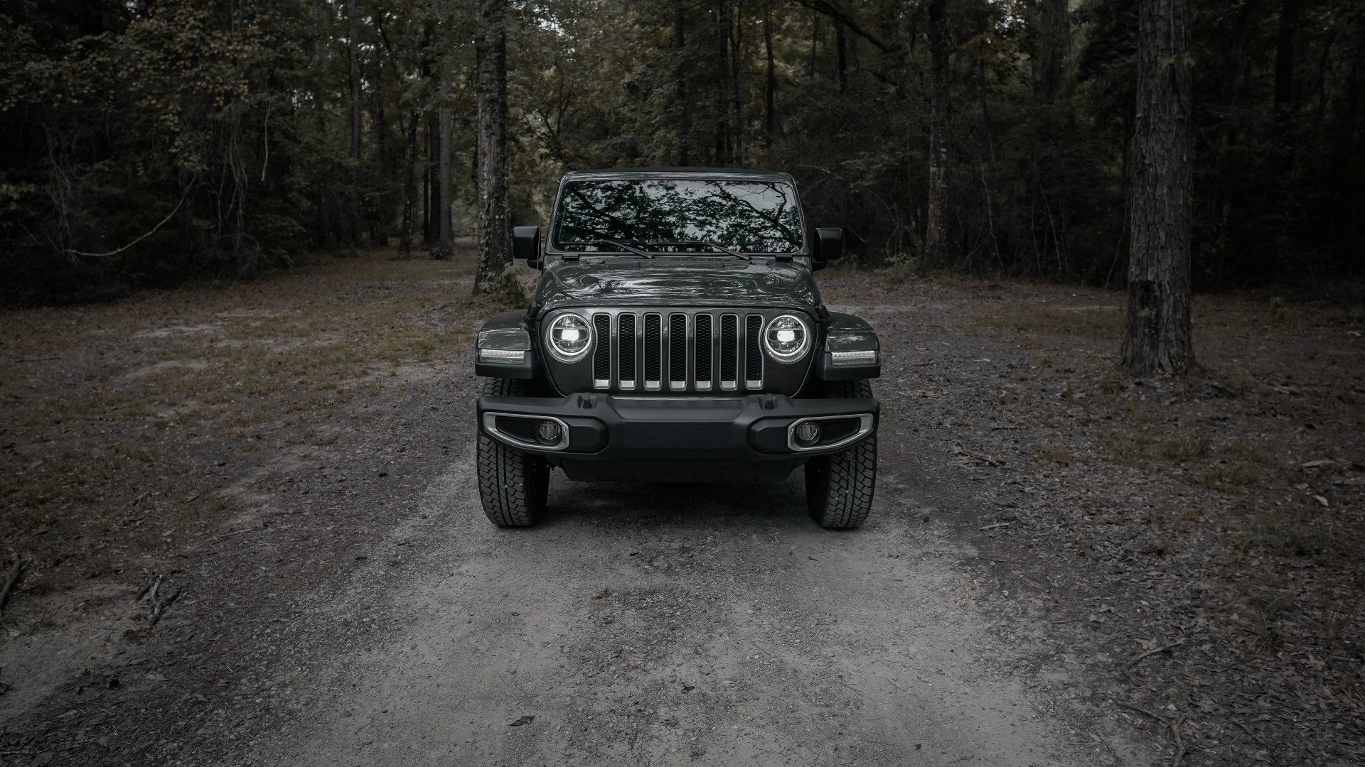 Dark green Jeep facing forward on a forest dirt road