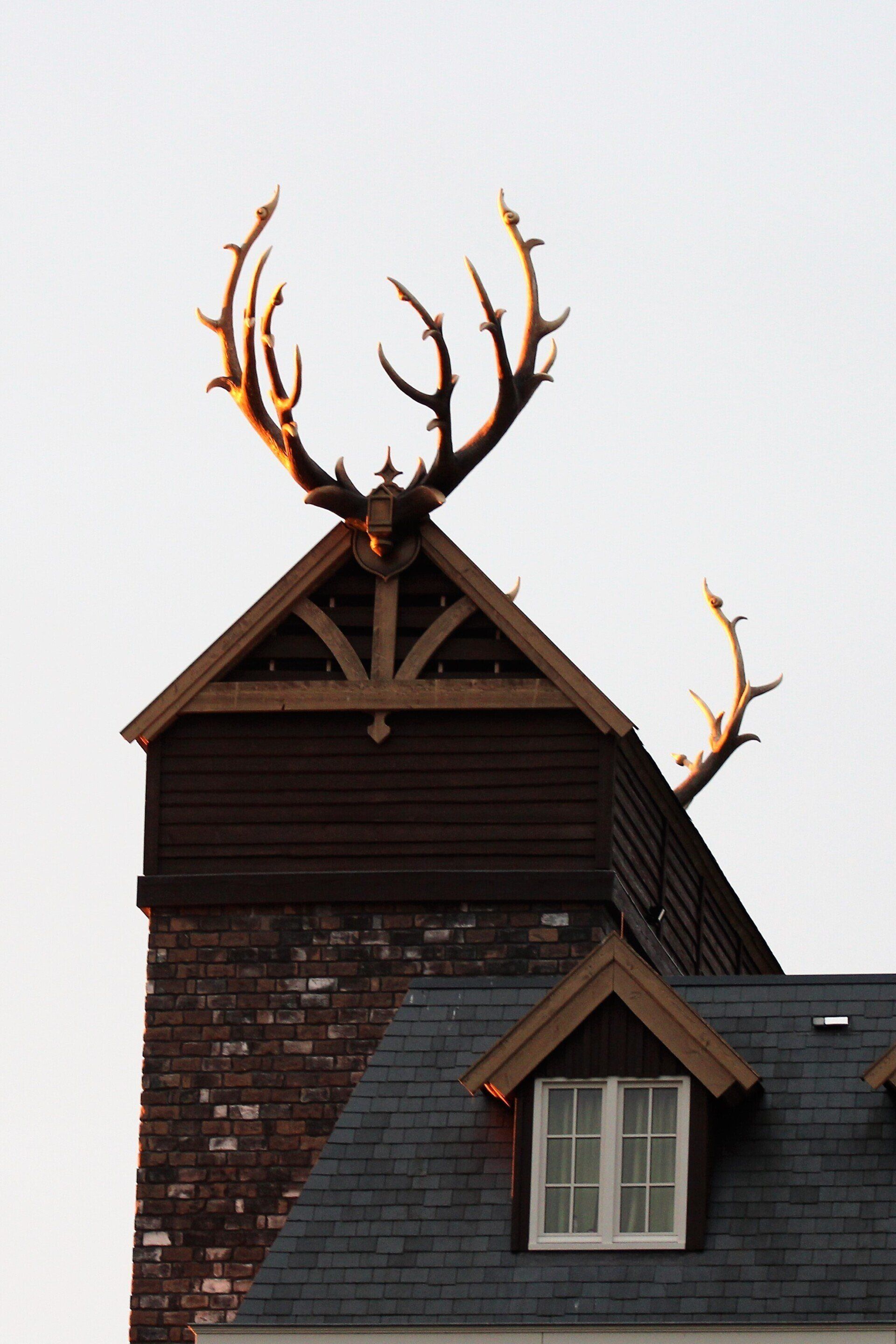 home attic
