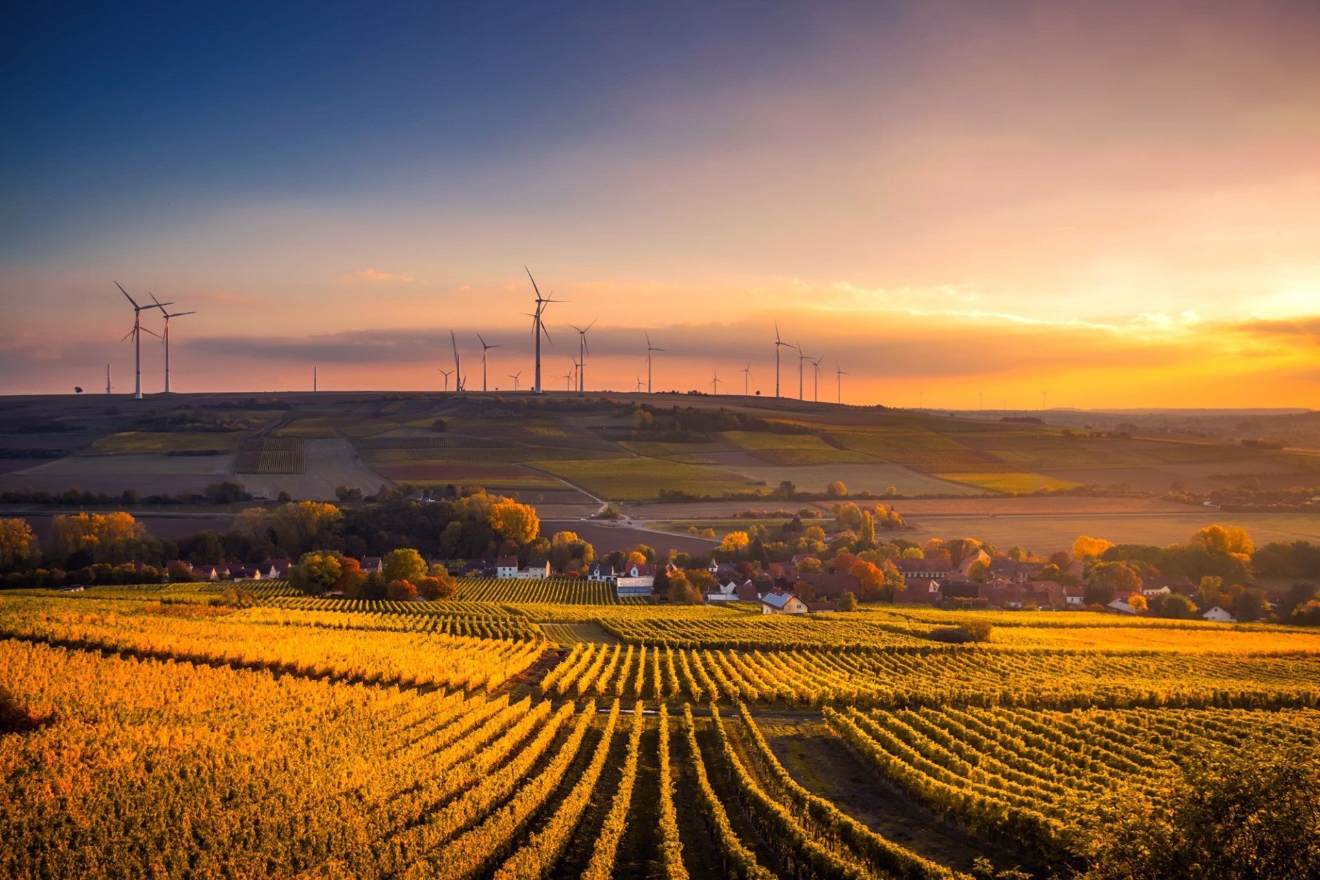 A sunset view of a farm with wind turbines