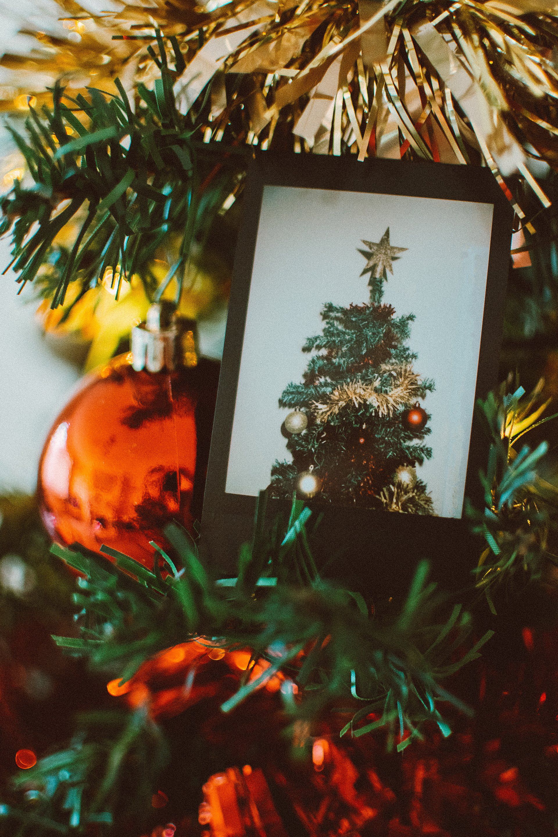 A picture of a christmas tree is hanging on a christmas tree
