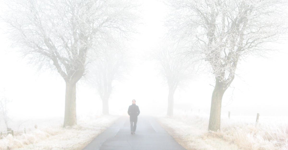 A man is walking down a foggy road.