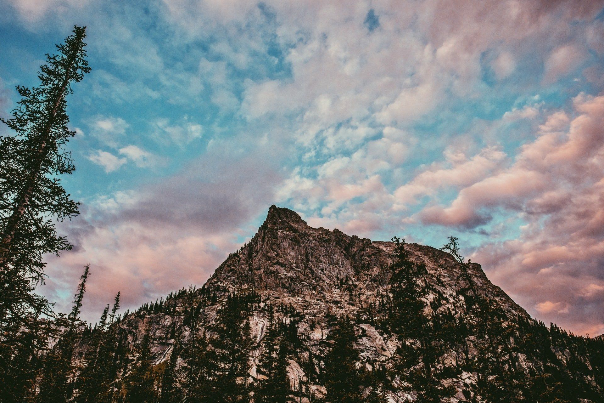 a mountain covered in trees with a cloudy sky in the background .