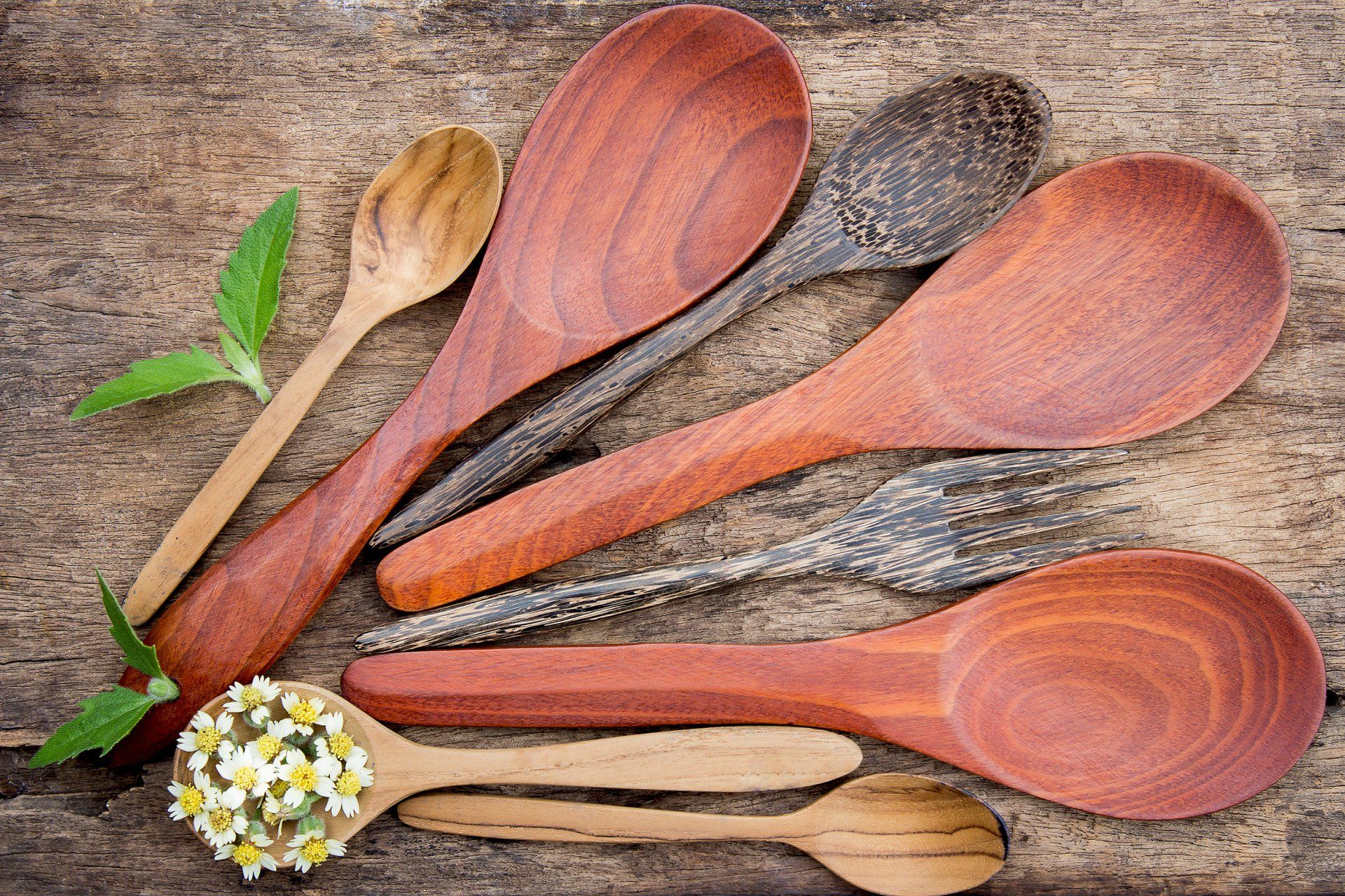 Assorted wooden spoons on a rustic surface, with a small white flower arrangement and green leaves