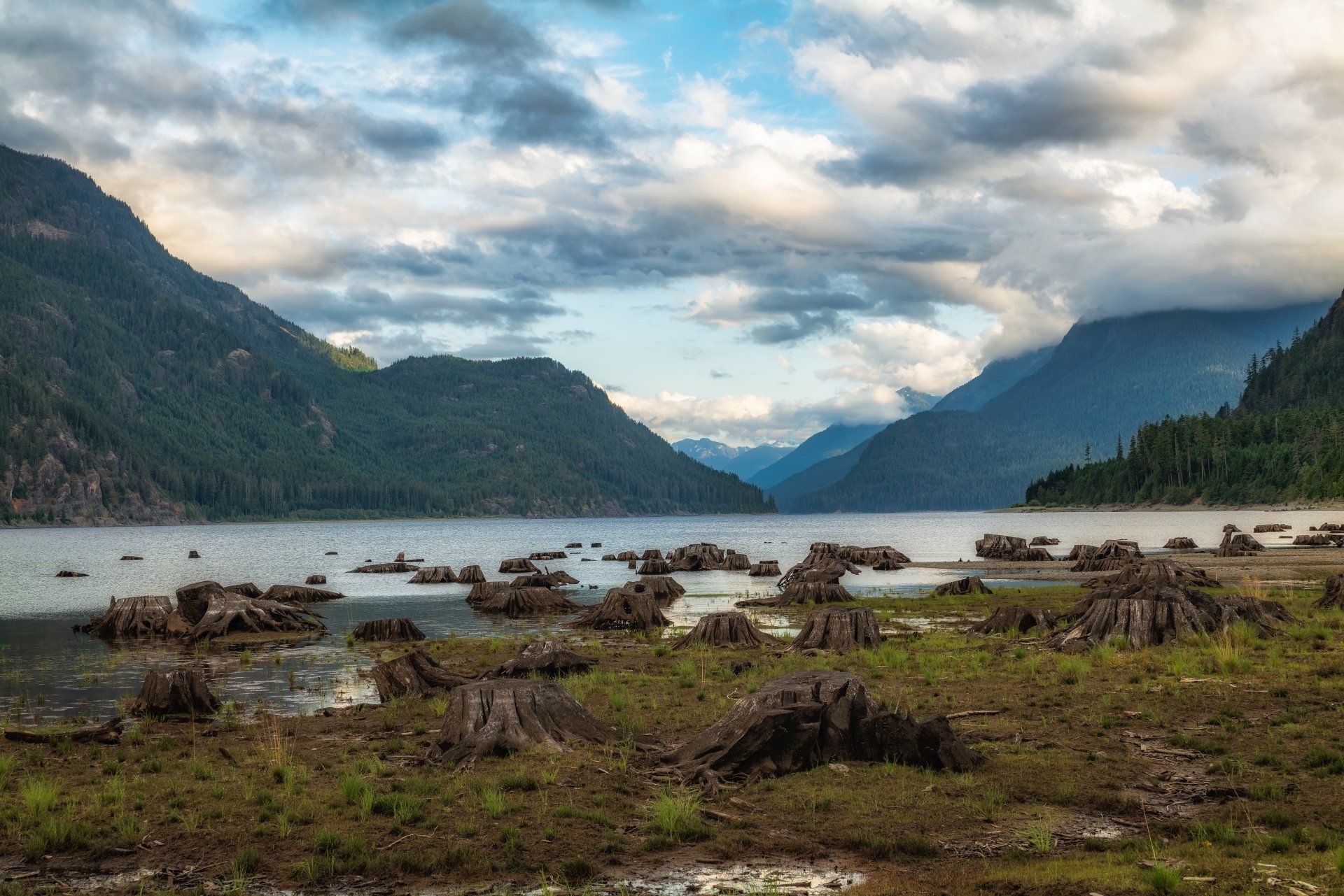 A lake shore filled with tree stumps, flanked by forested mountains under a cloudy sky.