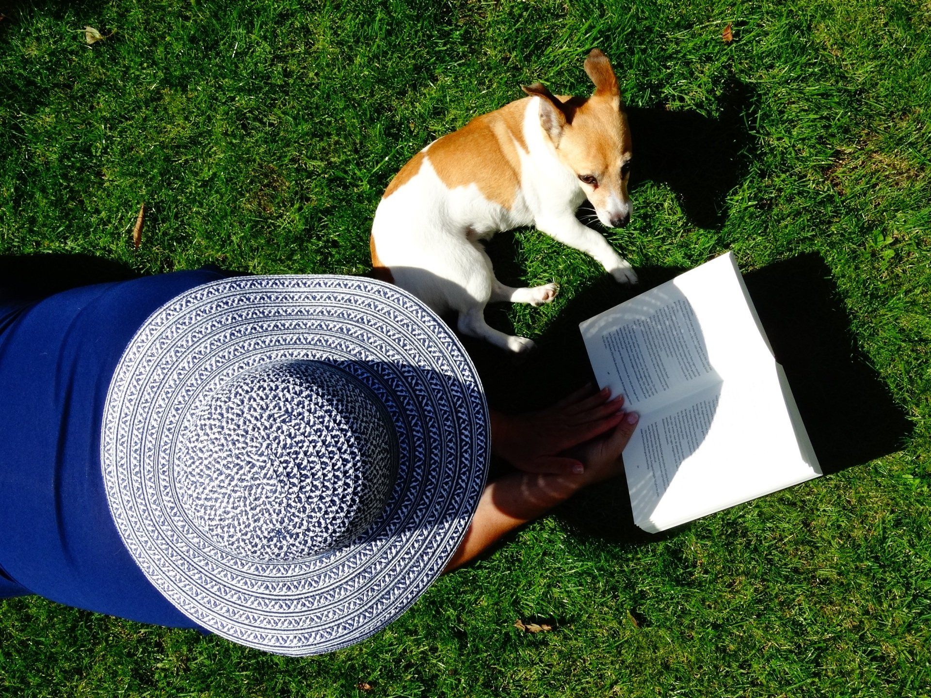 Reading in the sun