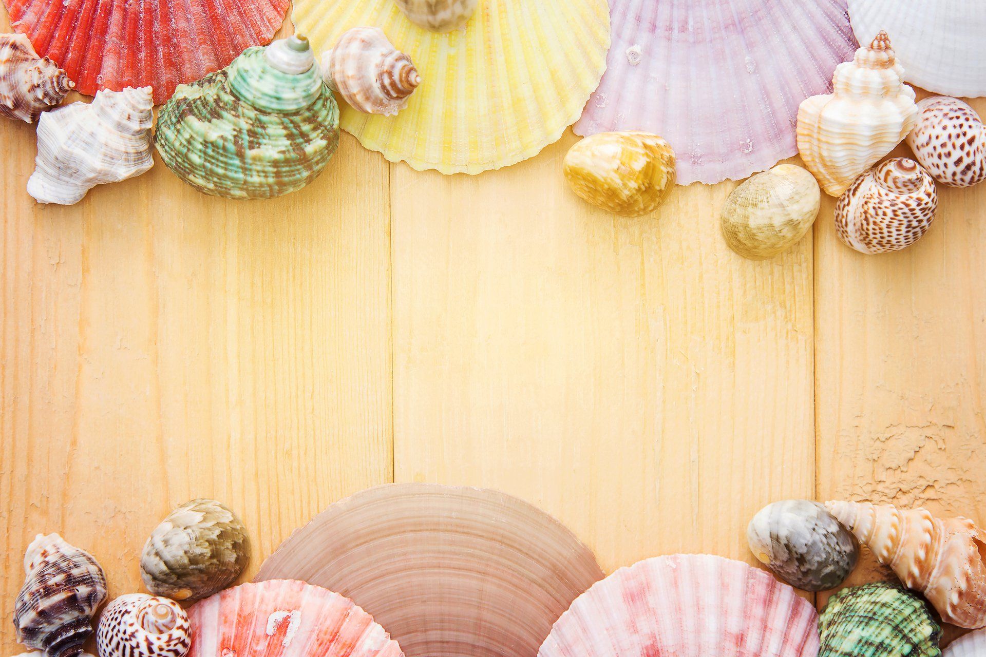 Bunte Muscheln auf einem Holzhintergrund.