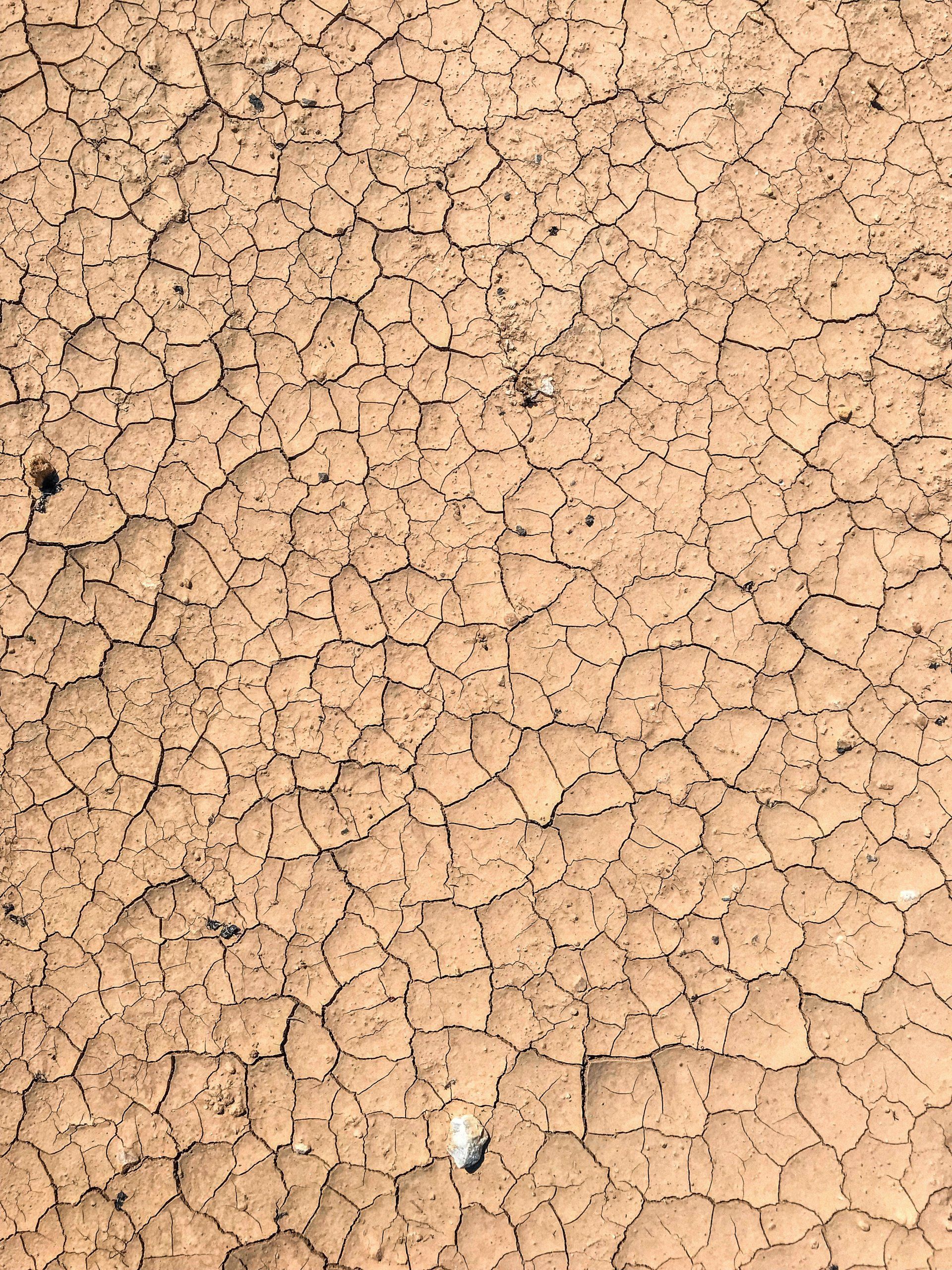 A close up of a cracked concrete surface.