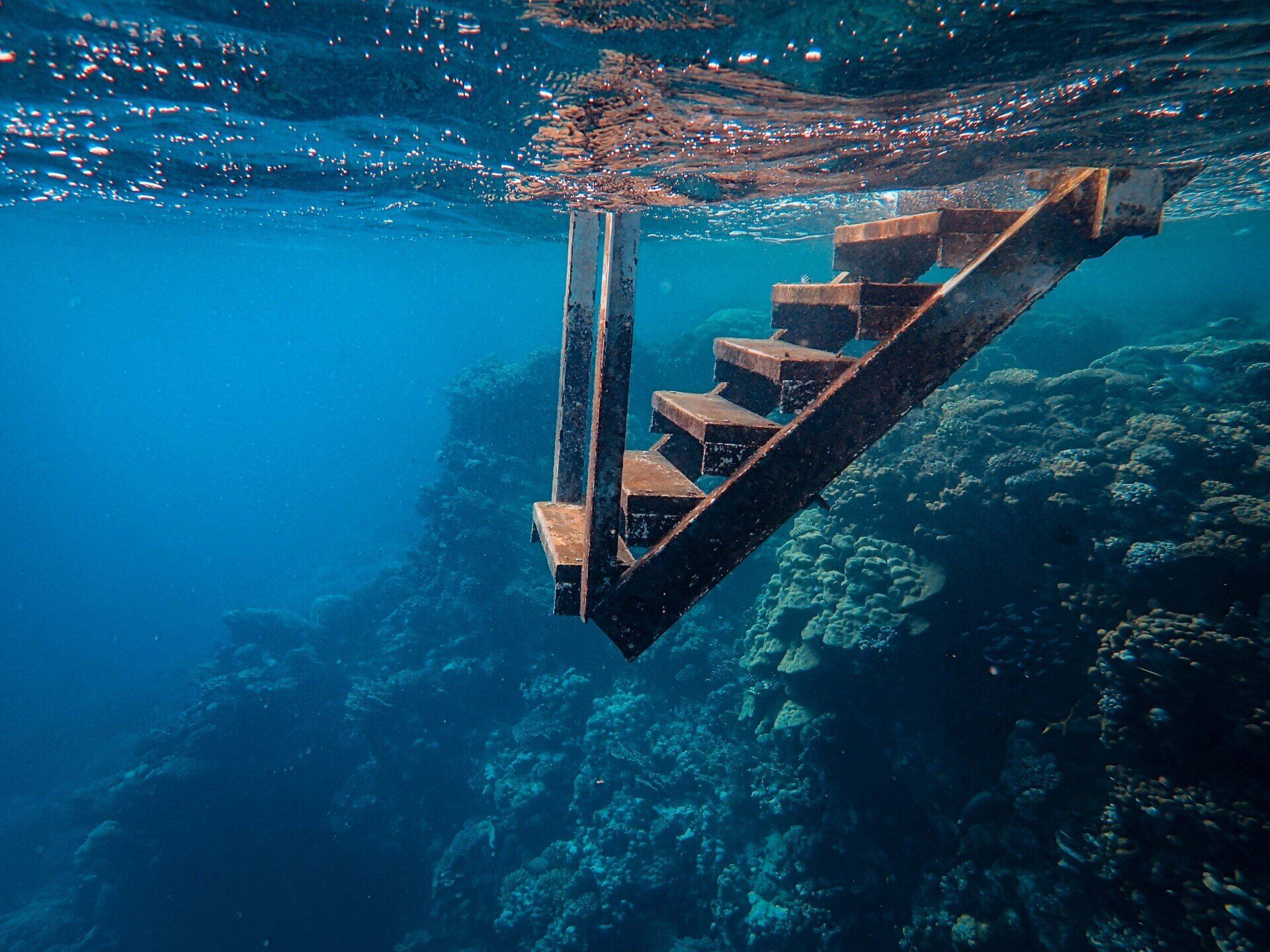 A wooden staircase is underwater in the ocean.