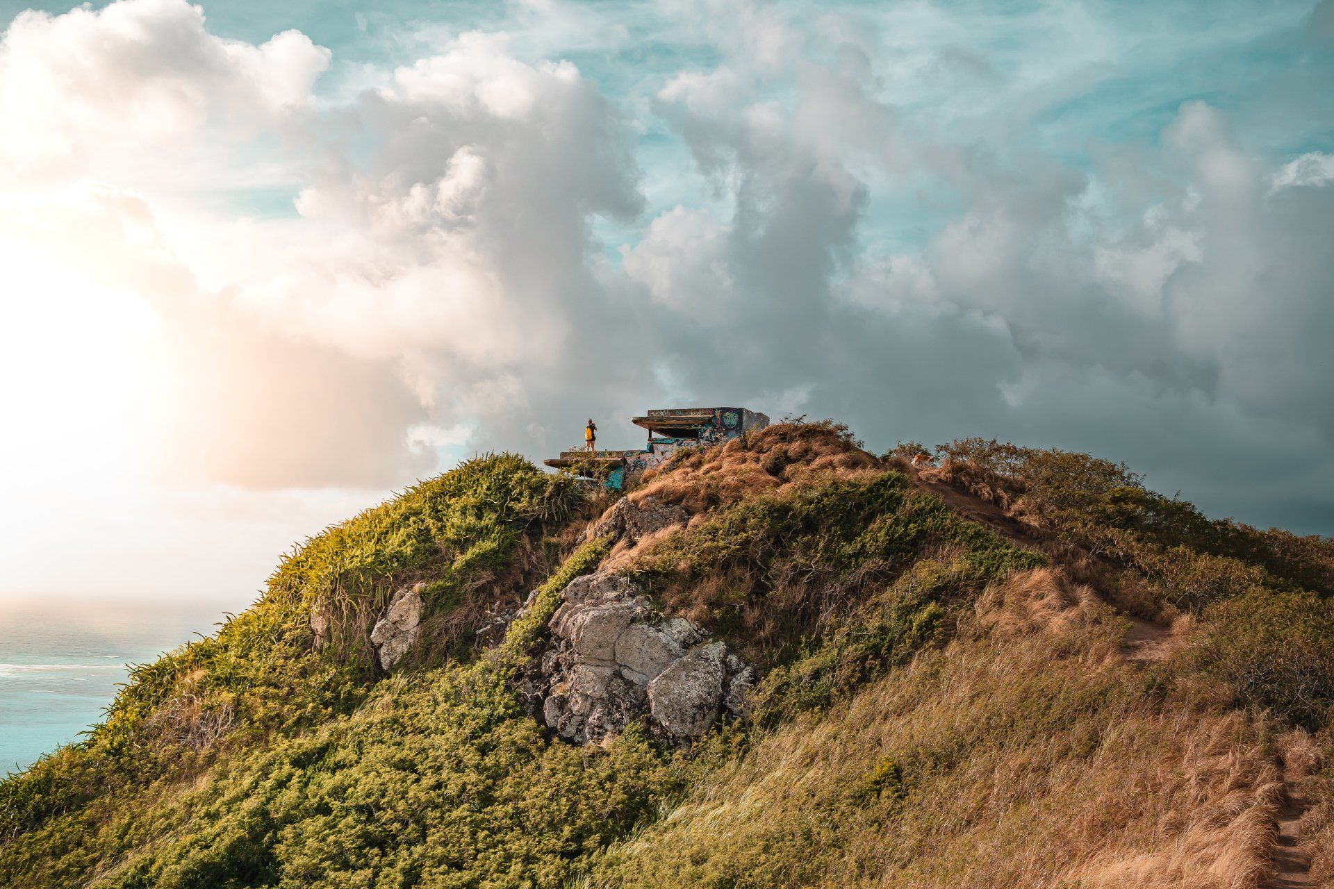 A small house is sitting on top of a lush green hill.