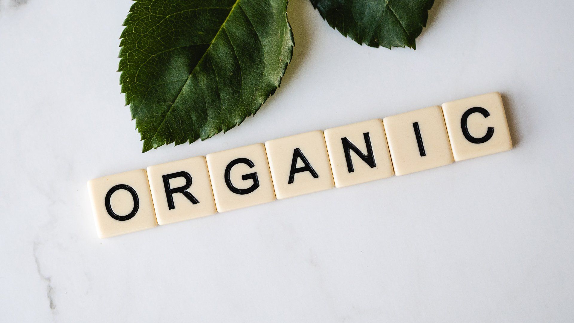 The word organic is written in scrabble tiles next to a green leaf.