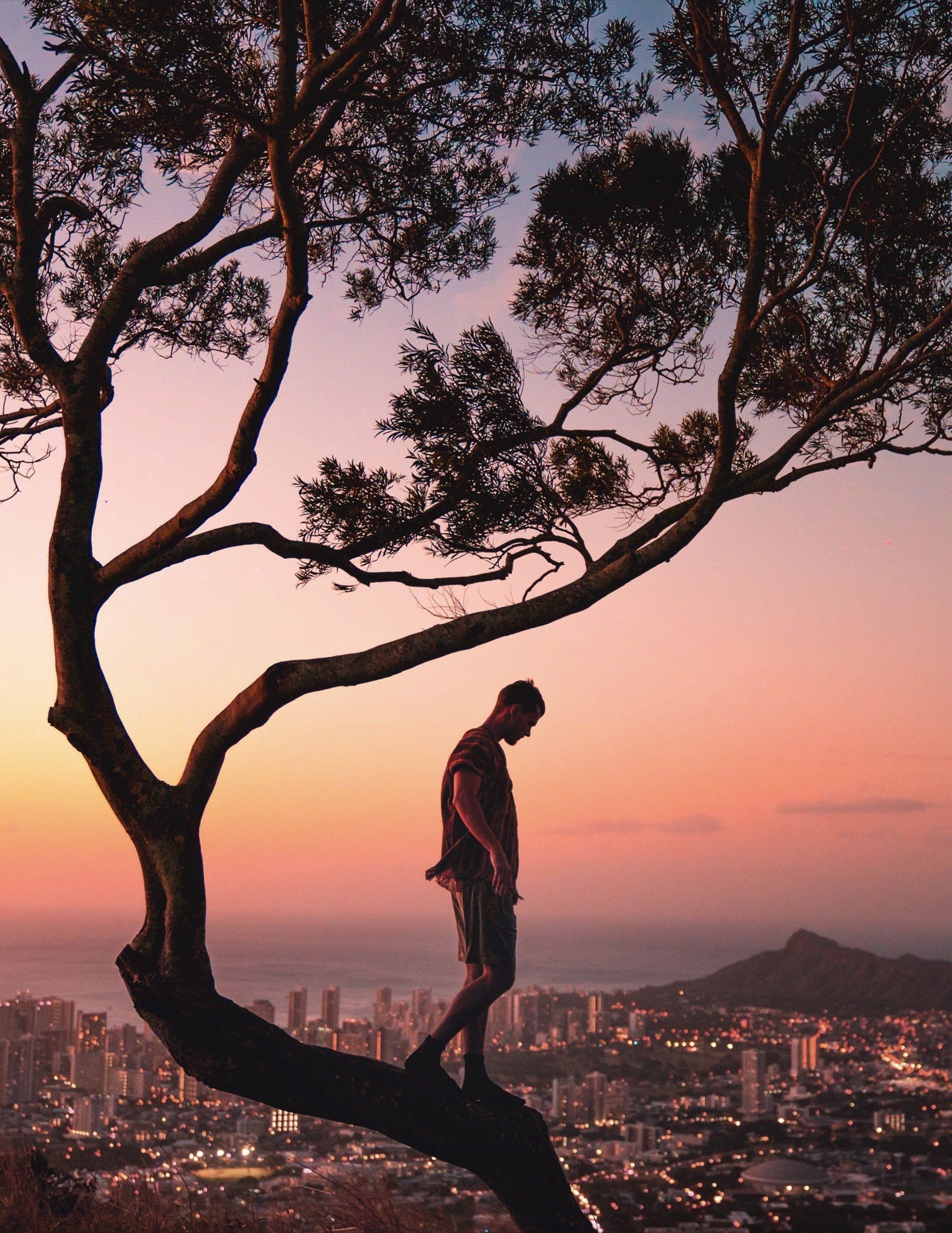 A man is standing on a tree branch overlooking a city at sunset.