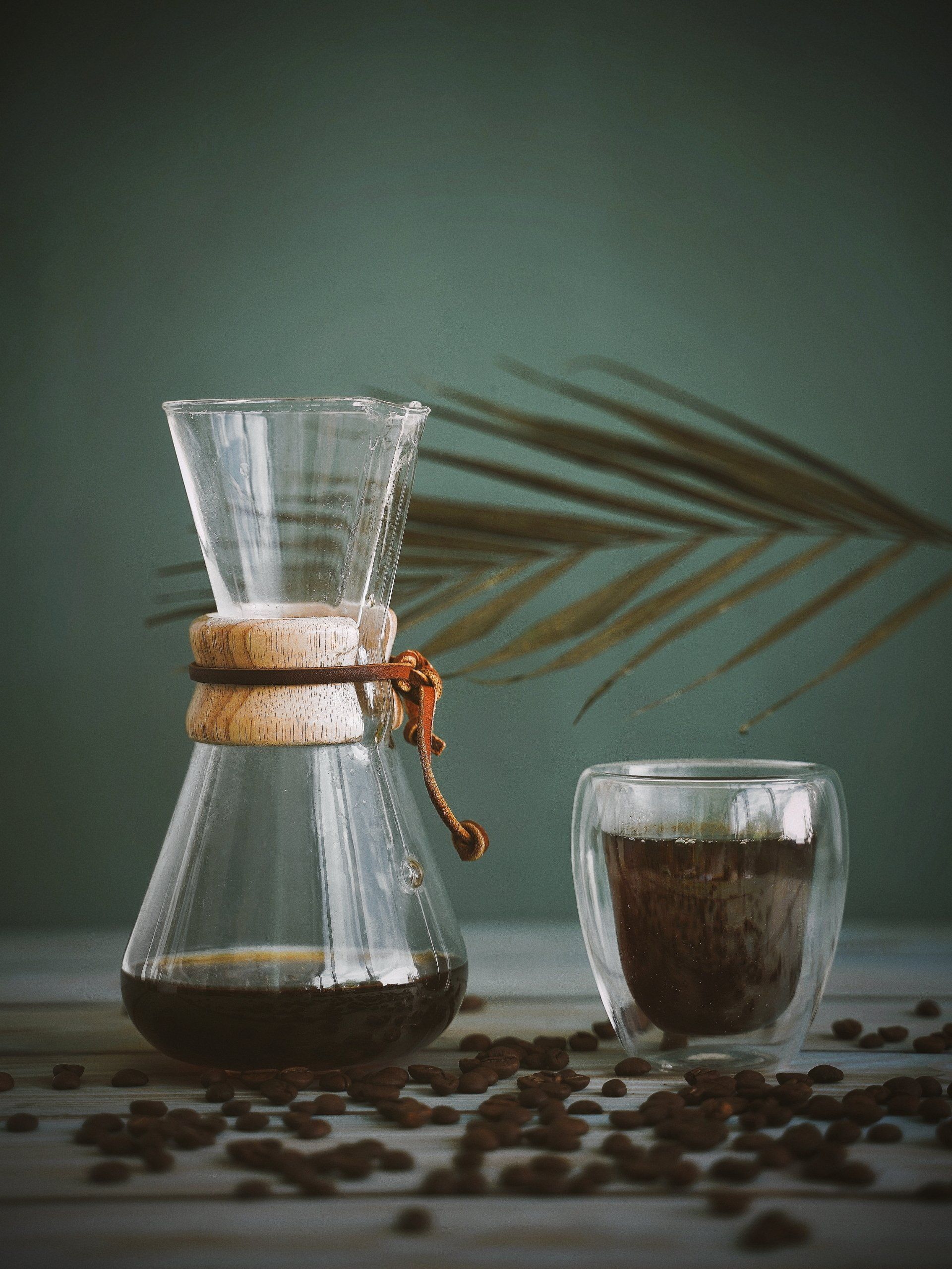 Glass carafe and cup of dark coffee on a table with coffee beans and a palm leaf backdrop