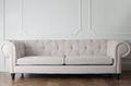 Upholstery Cleaning