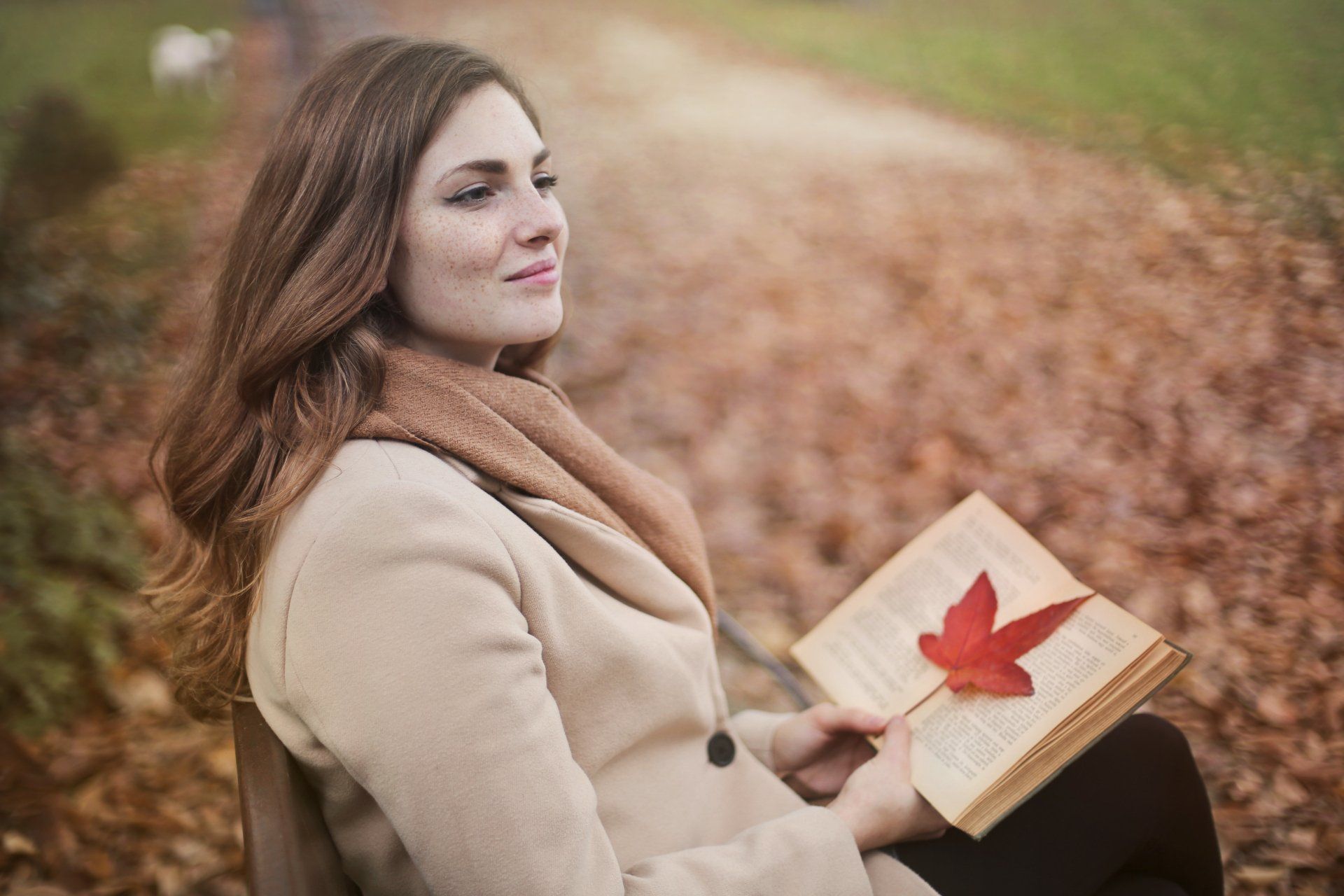 storytelling, build a brand, building a brand, brand storytelling