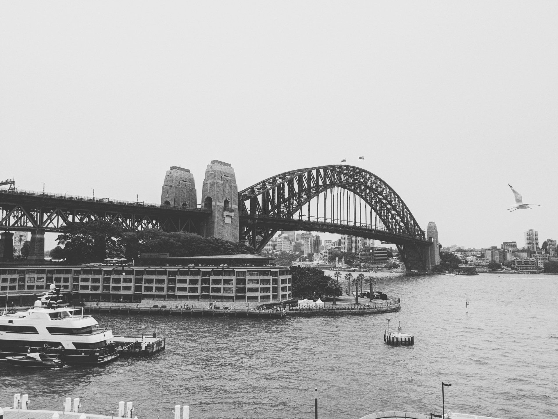Ponte do Porto de Sydney, foto em preto e branco com balsa e horizonte da cidade.