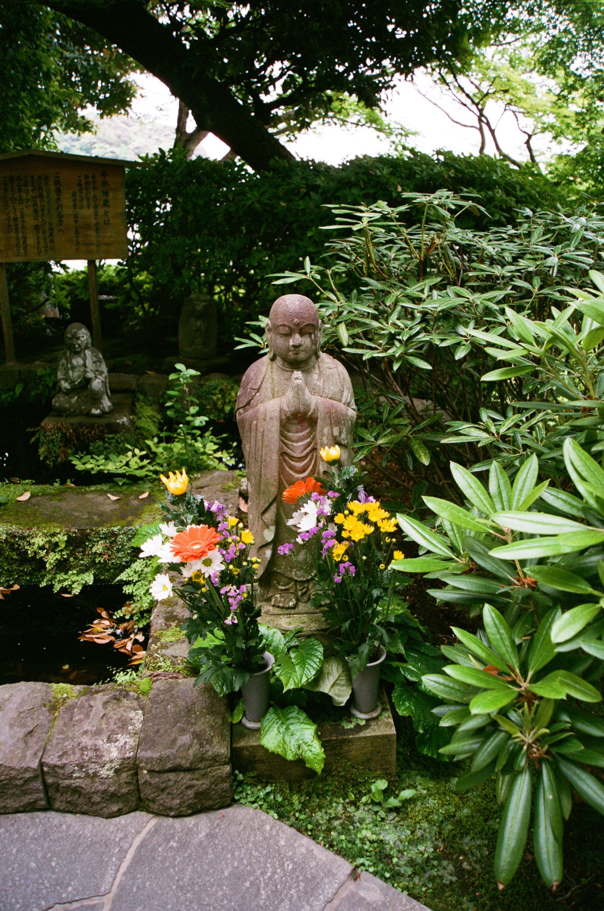 Oriental Garden