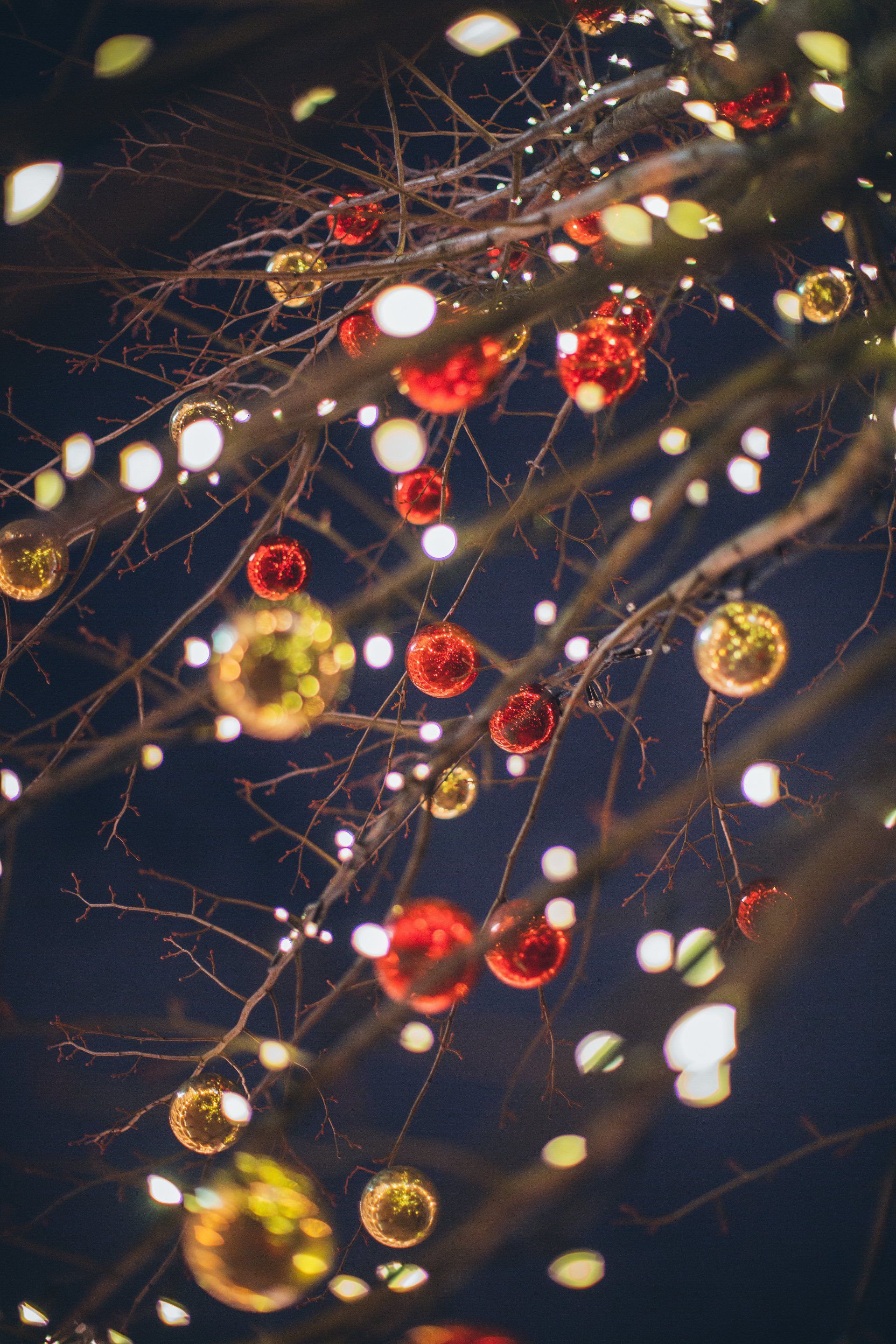 Holiday Light Installation New Hampshire