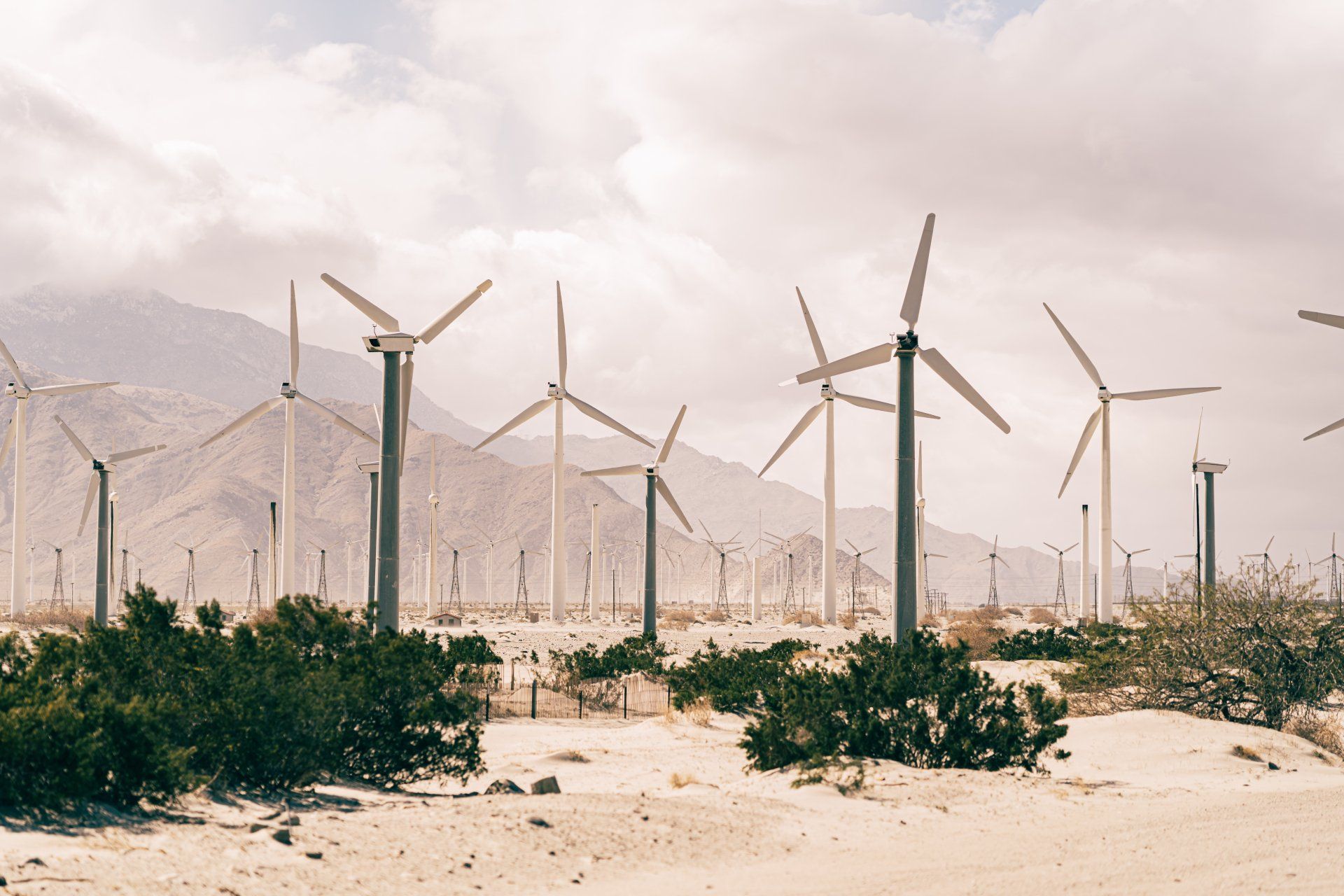 Power Solutions: Energizing Your Business with Efficient BPO Services