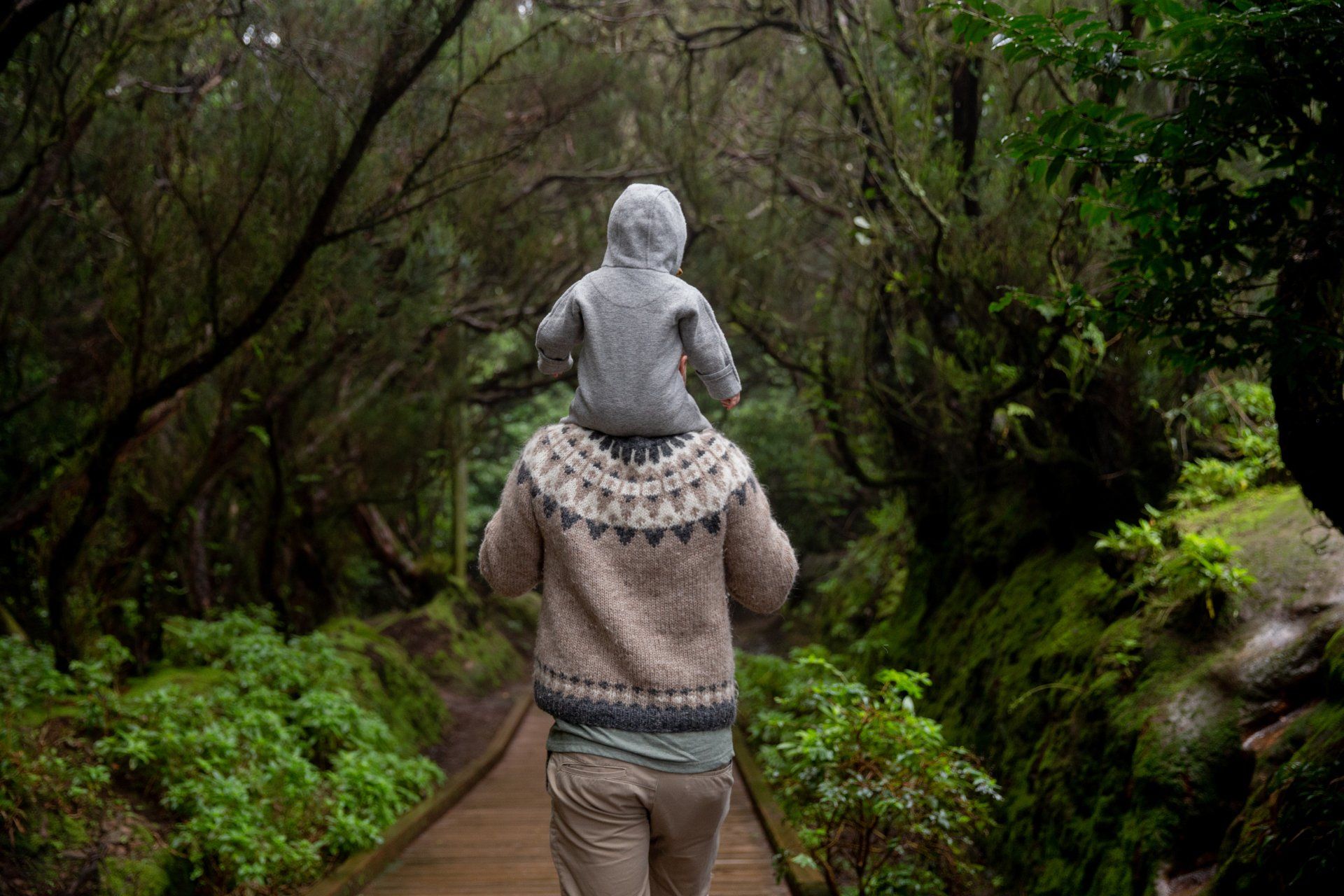A man is carrying a baby on his shoulders through a forest.