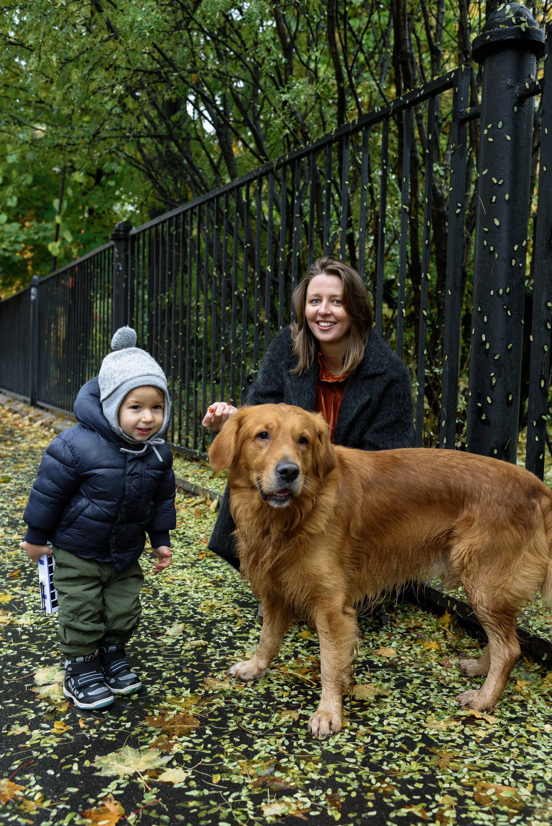 dog run fence illinois
