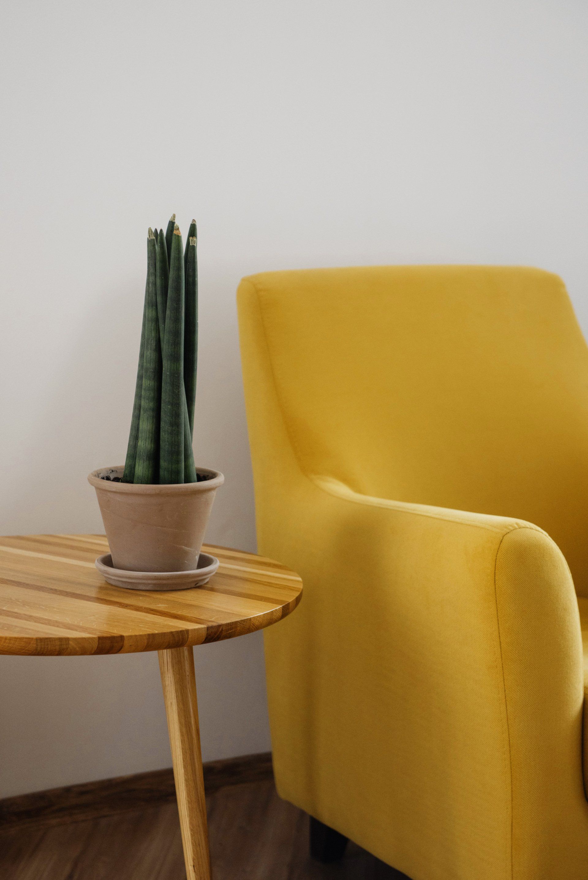 A potted plant is sitting on a wooden table next to a yellow chair.