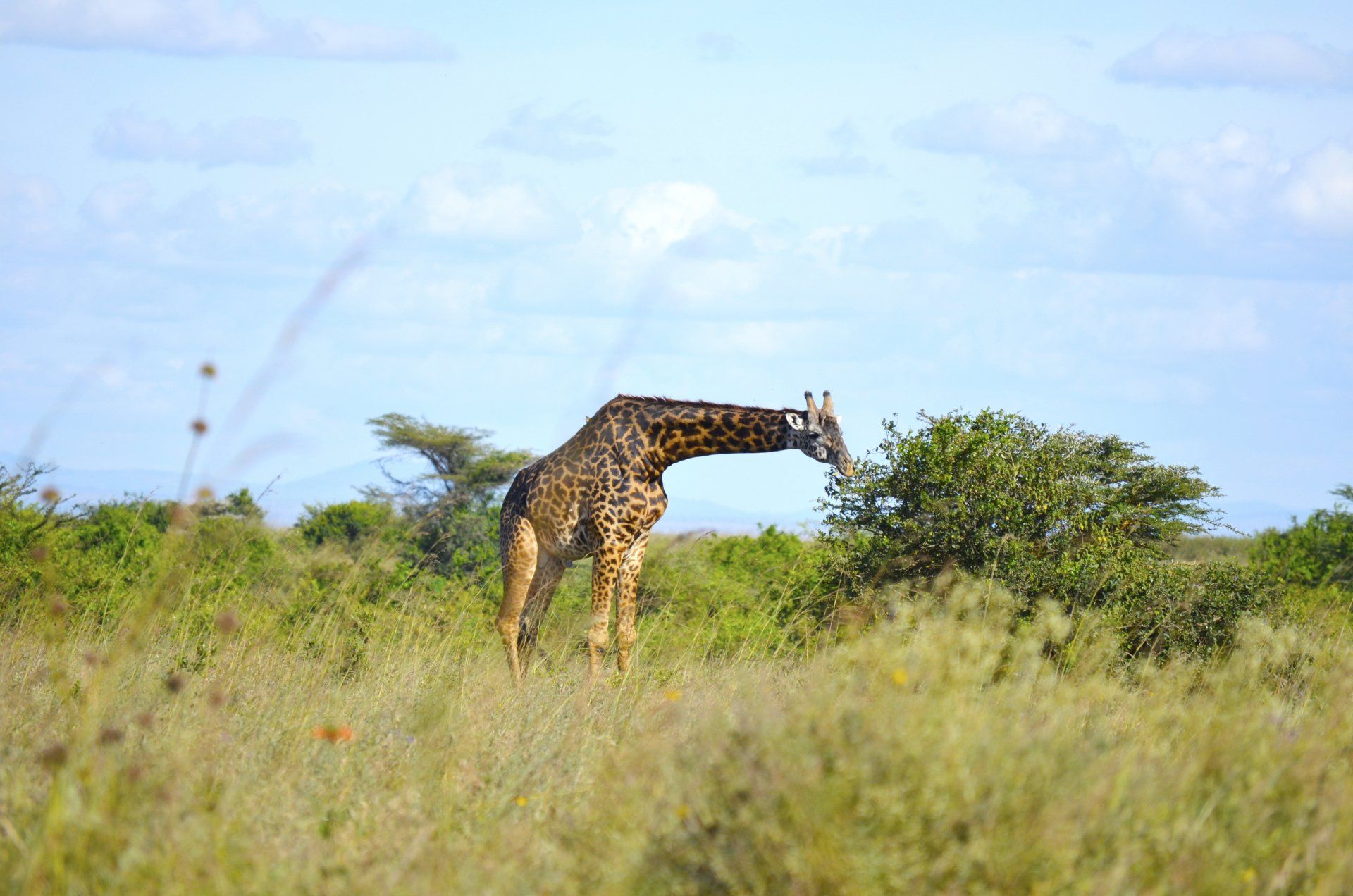 5 Star Nairobi Holidays