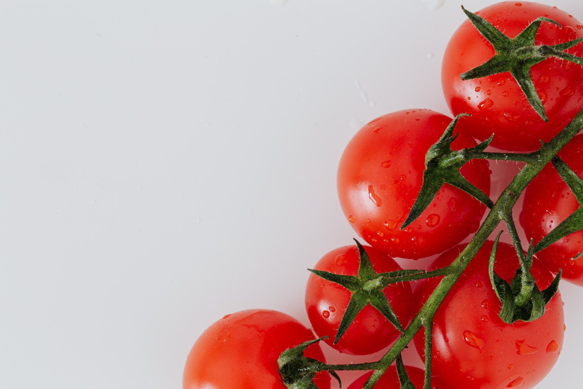 A cluster of bright red cherry tomatoes still on the green vine against a white background.