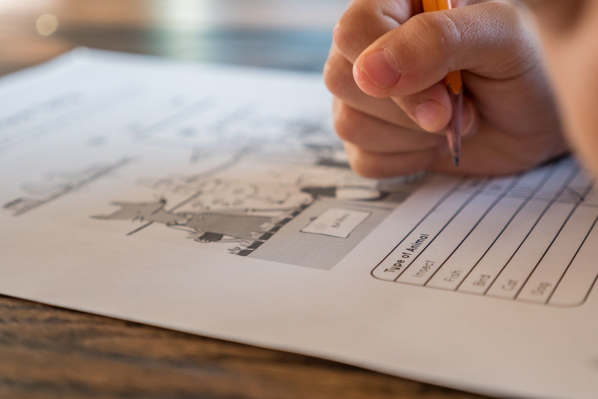 Student pilot completing aviation ground school worksheet during flight training study.