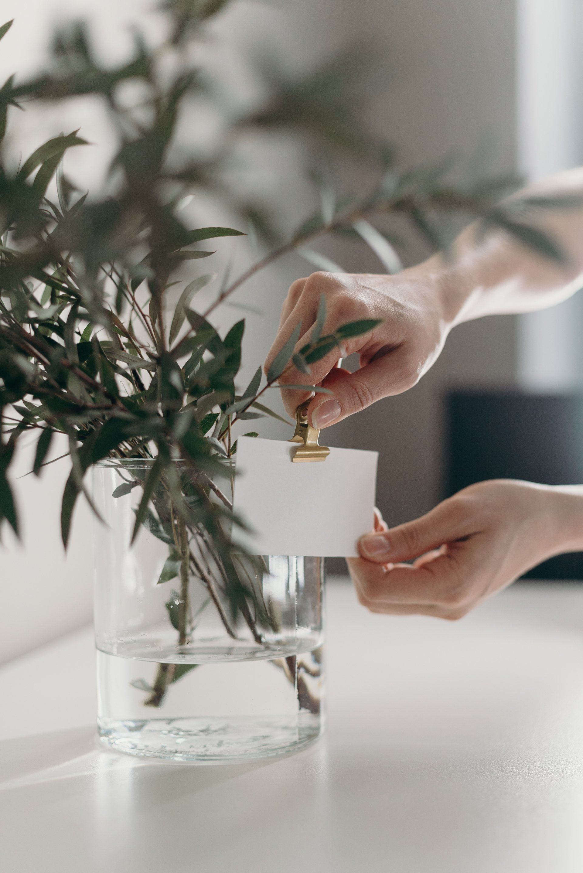 A hand reaches towards an out of focus green plant