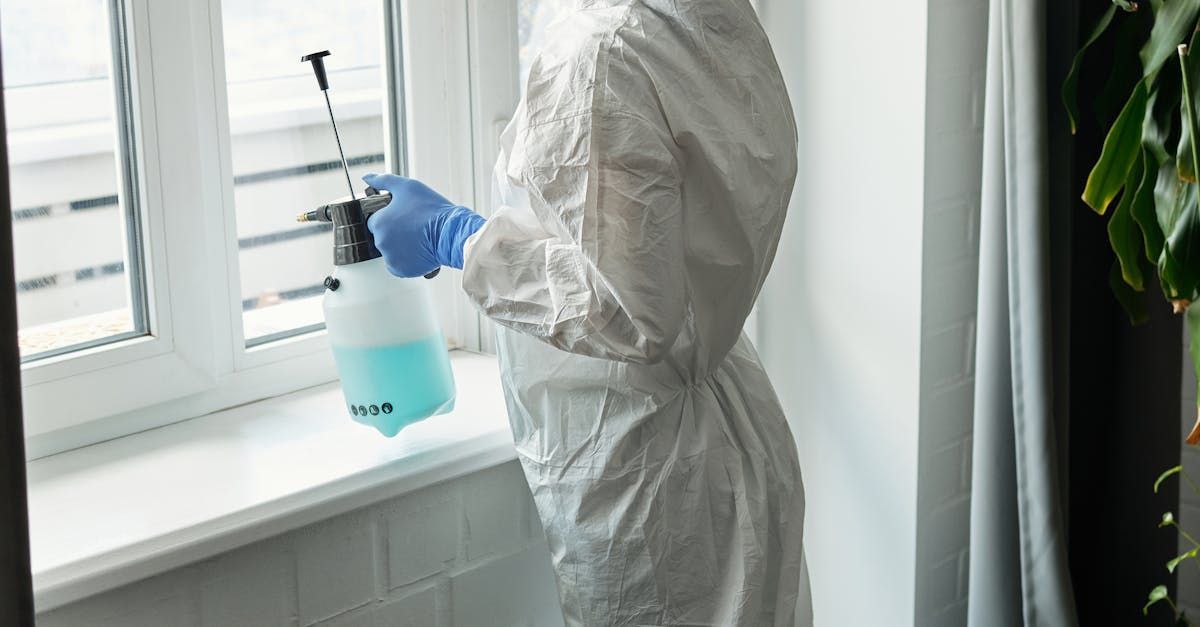 cleaning mold before painting