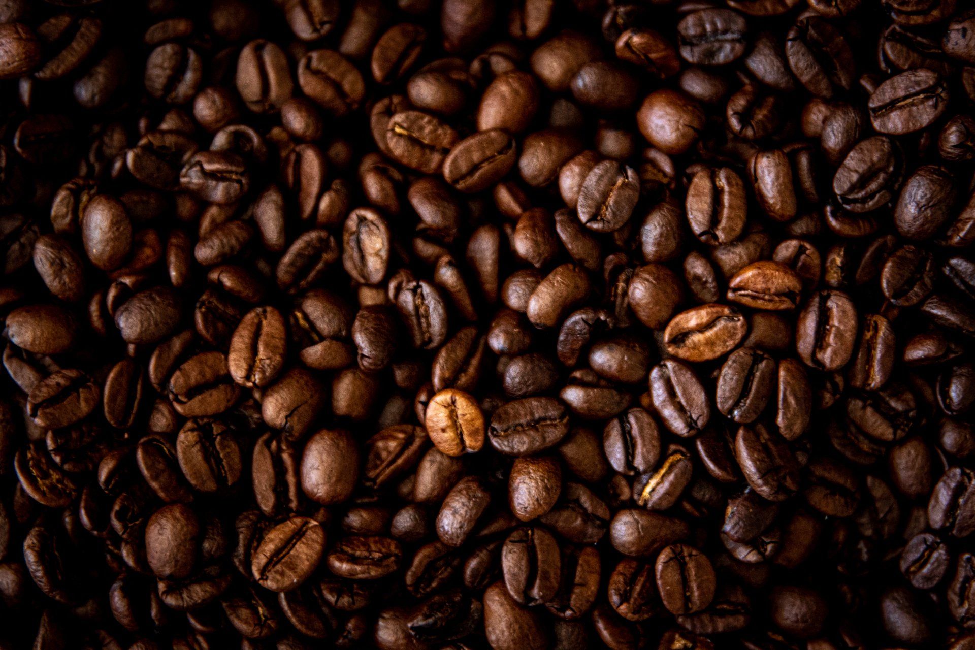 Gebrande koffiebonen, bruin met verschillende tinten, vullen het beeld, sommige glanzend, dicht op elkaar gepakt.