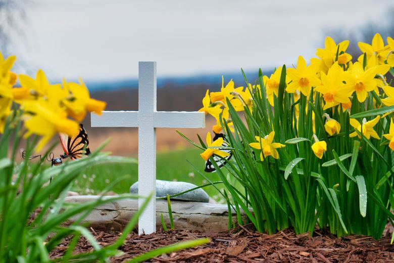 White cross among yellow flowers and green grass in a cemetery memorial scene
