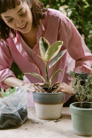 Gardening