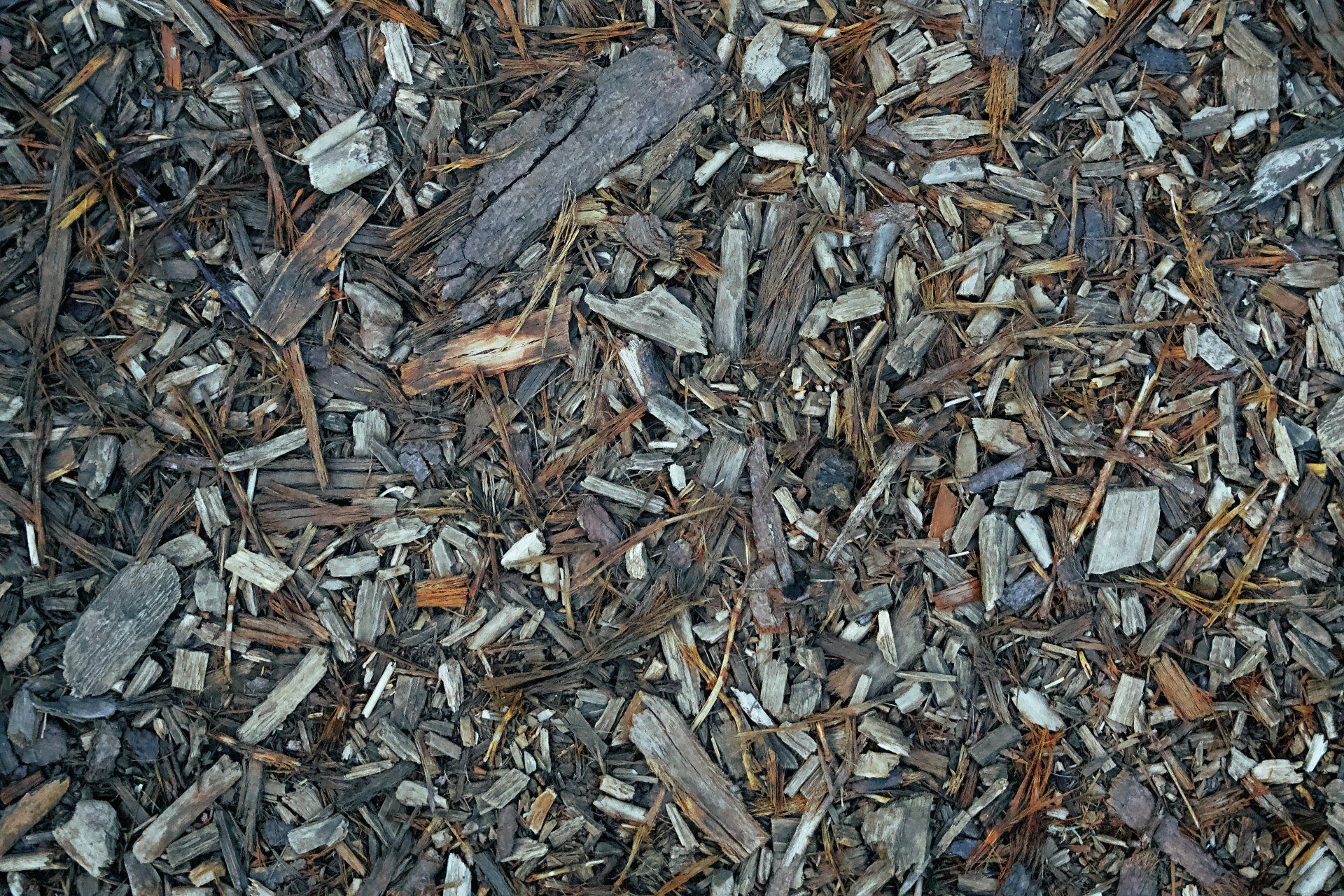 A pile of wood chips and rocks on the ground.