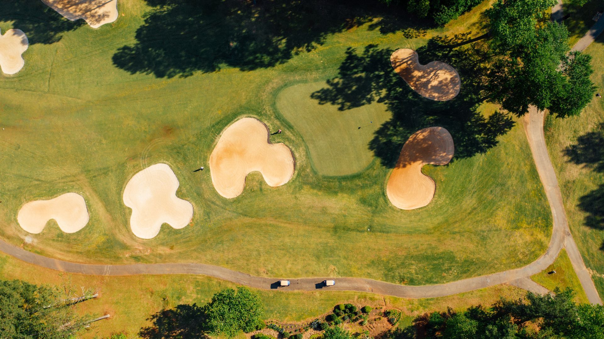 Golf course stump removal in Baltimore Maryland