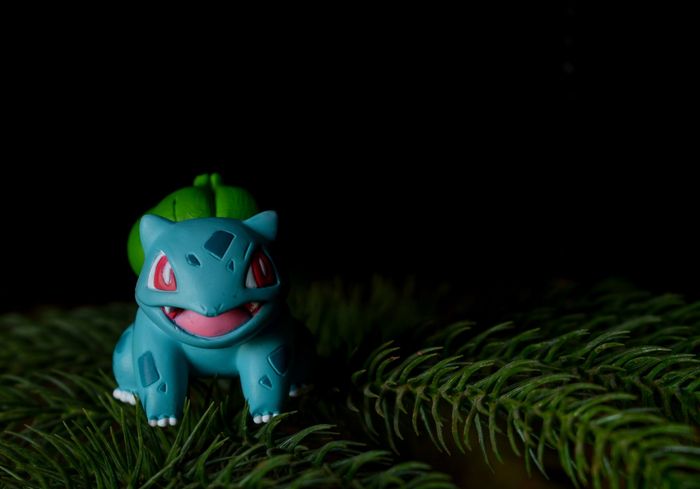 pokemon bulbasaur
