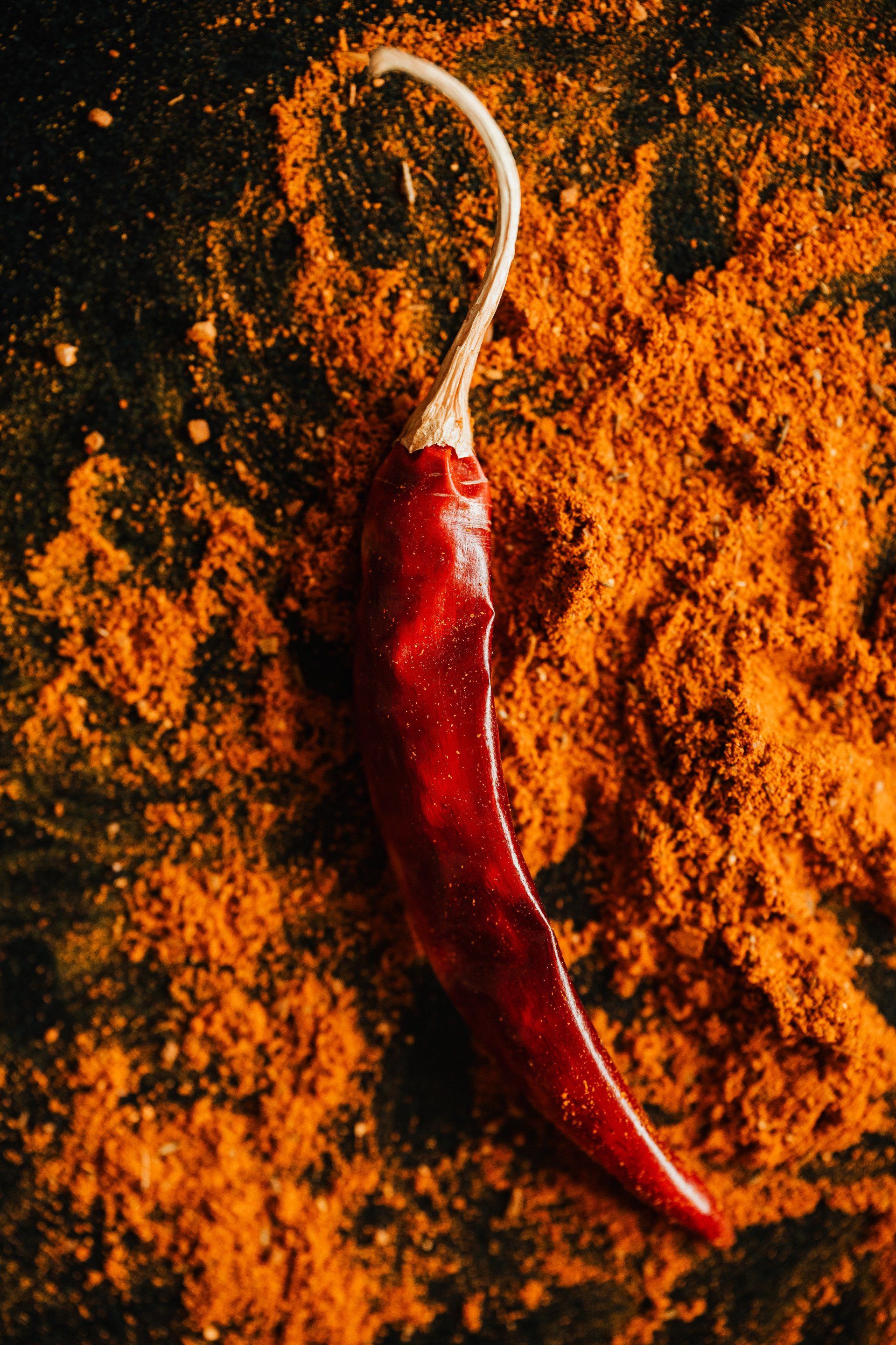 Un piment rouge est posé sur un tas de poudre de curcuma.