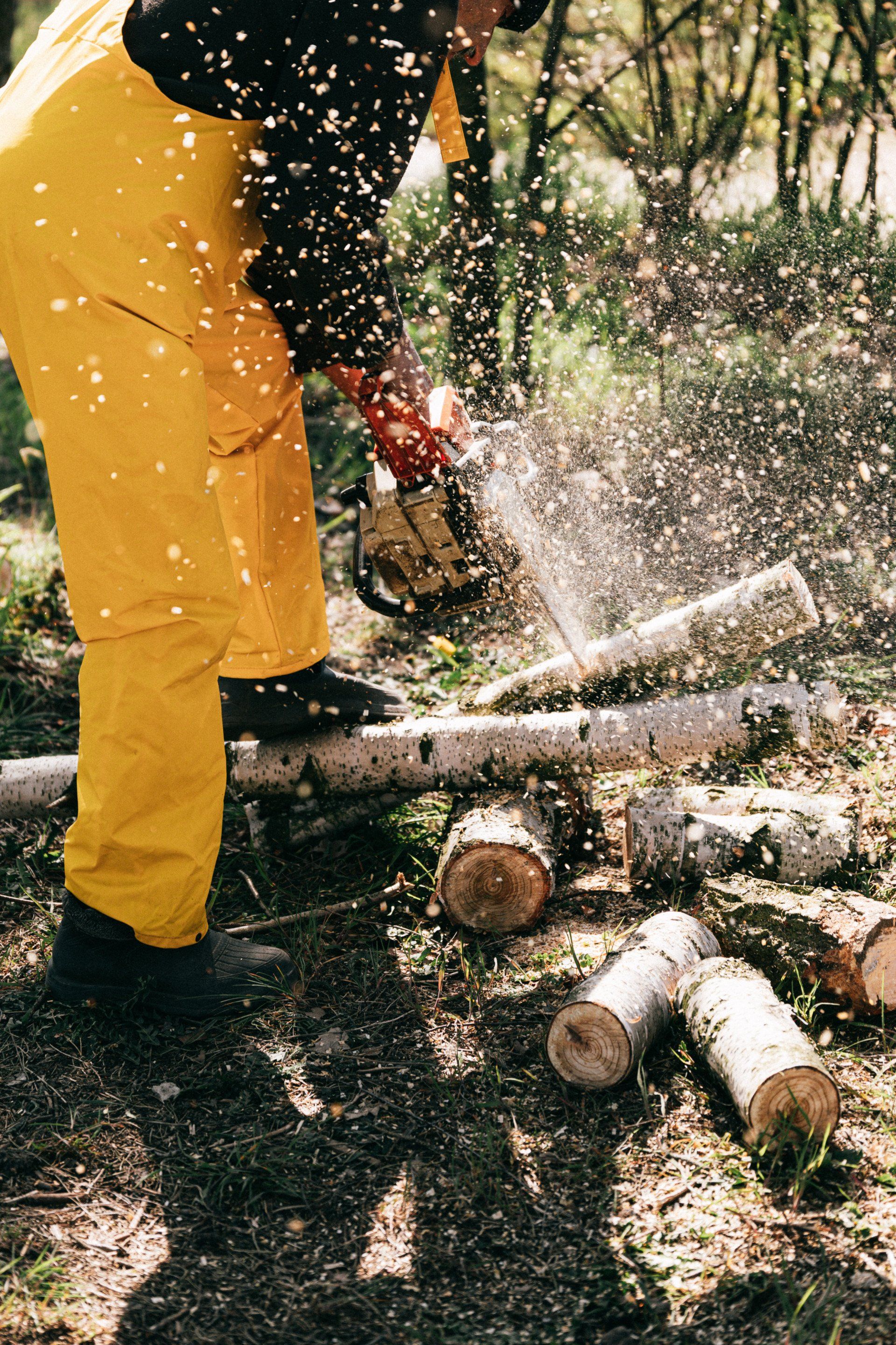 tree service indianapolis