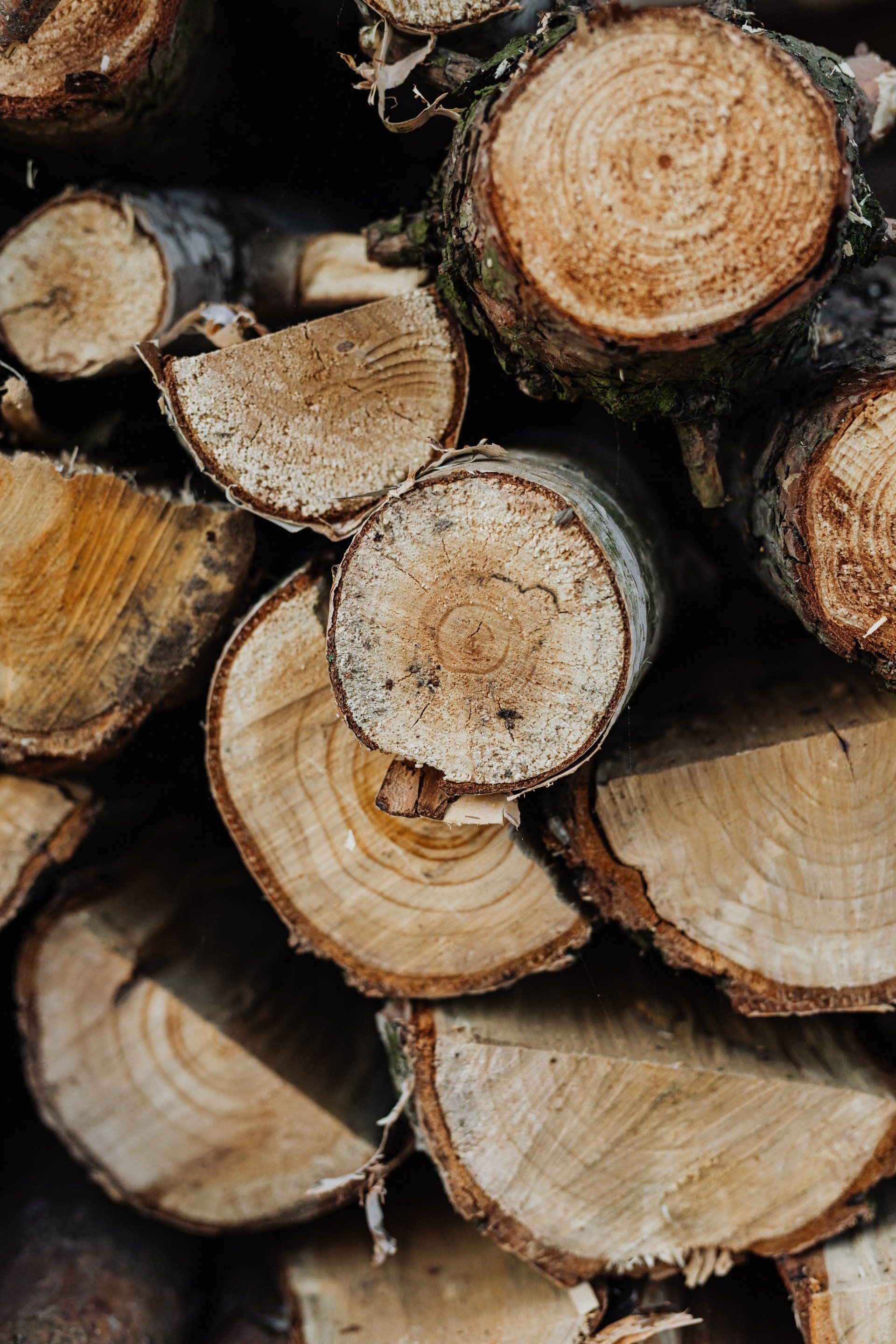 Tree logs stacked Markdale Ontario.