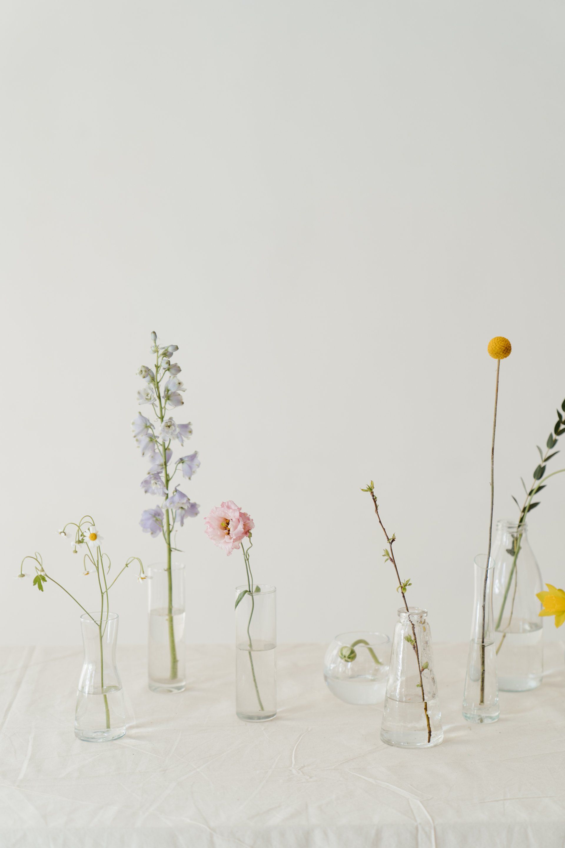 Image of a white background with spring flowers dotting the bottom of the frame