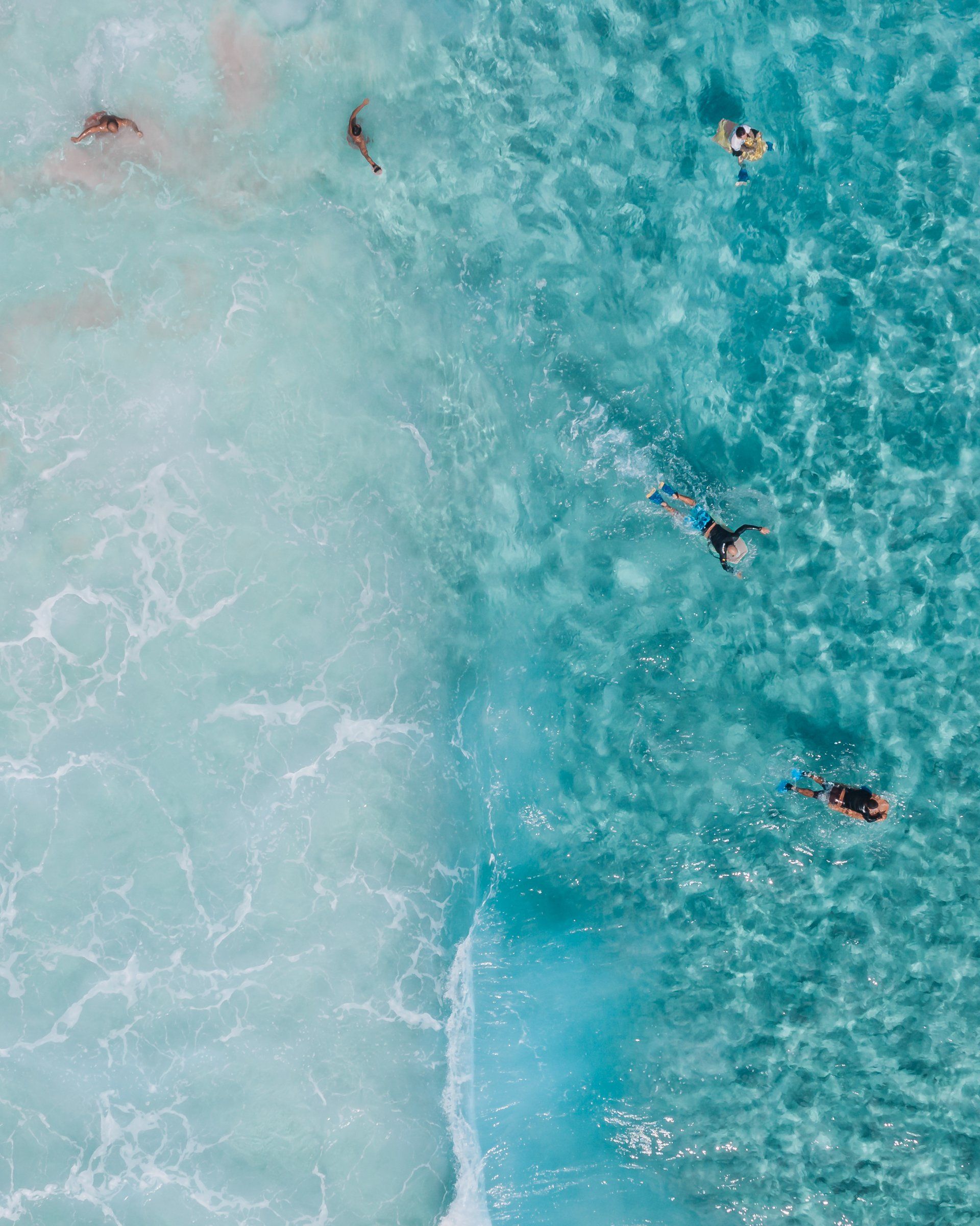 swim