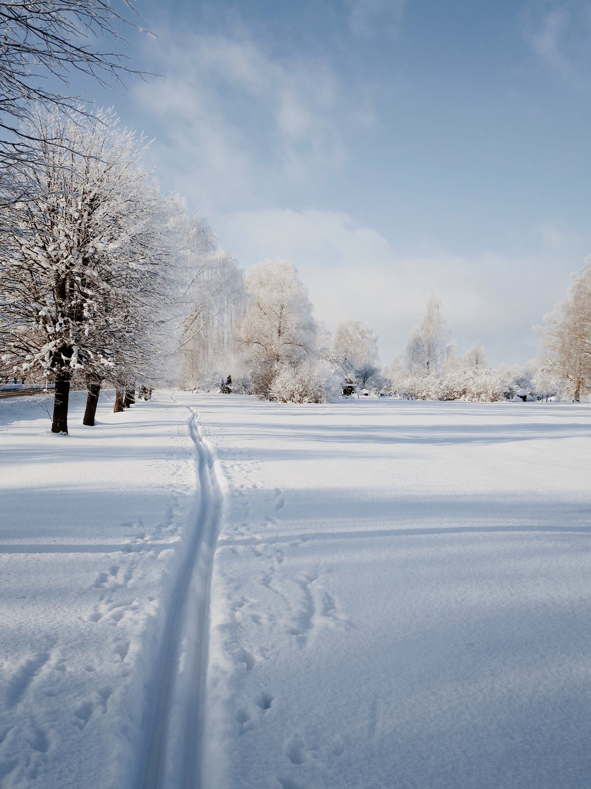 ski trail