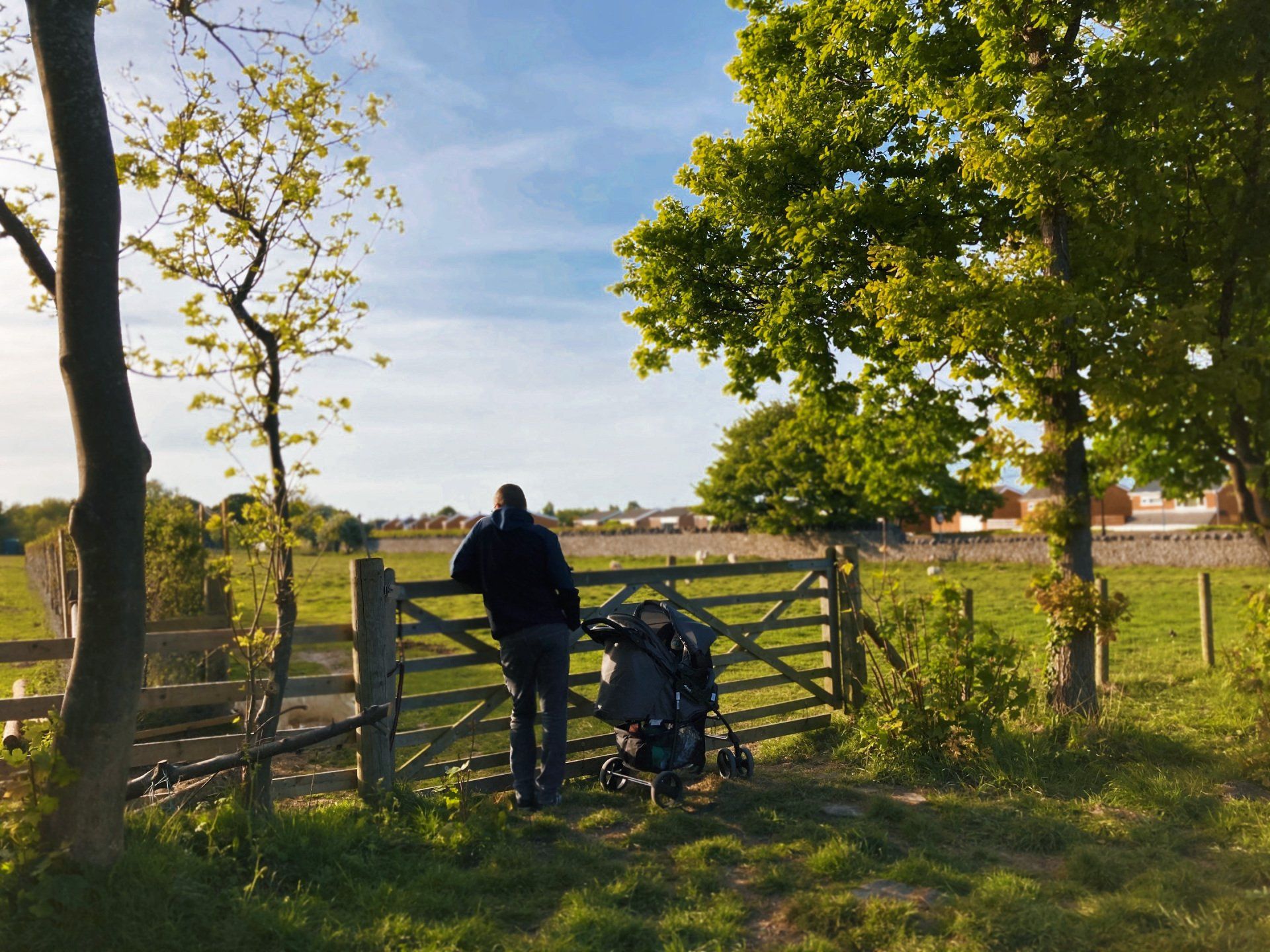 Man with stroller leans on a wooden gate, looking over a field in a sunny setting with trees.